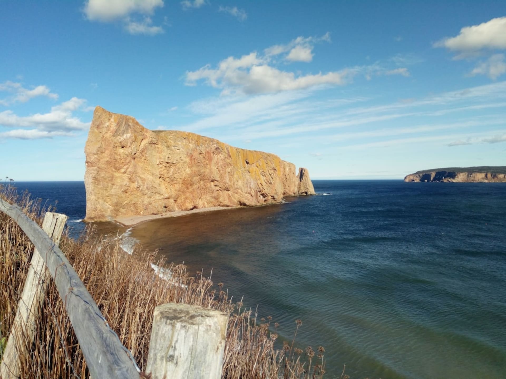 Thousands of northern gannets covering the red sandstone cliffs of Île Bonaventure with the Gulf of St. Lawrence below