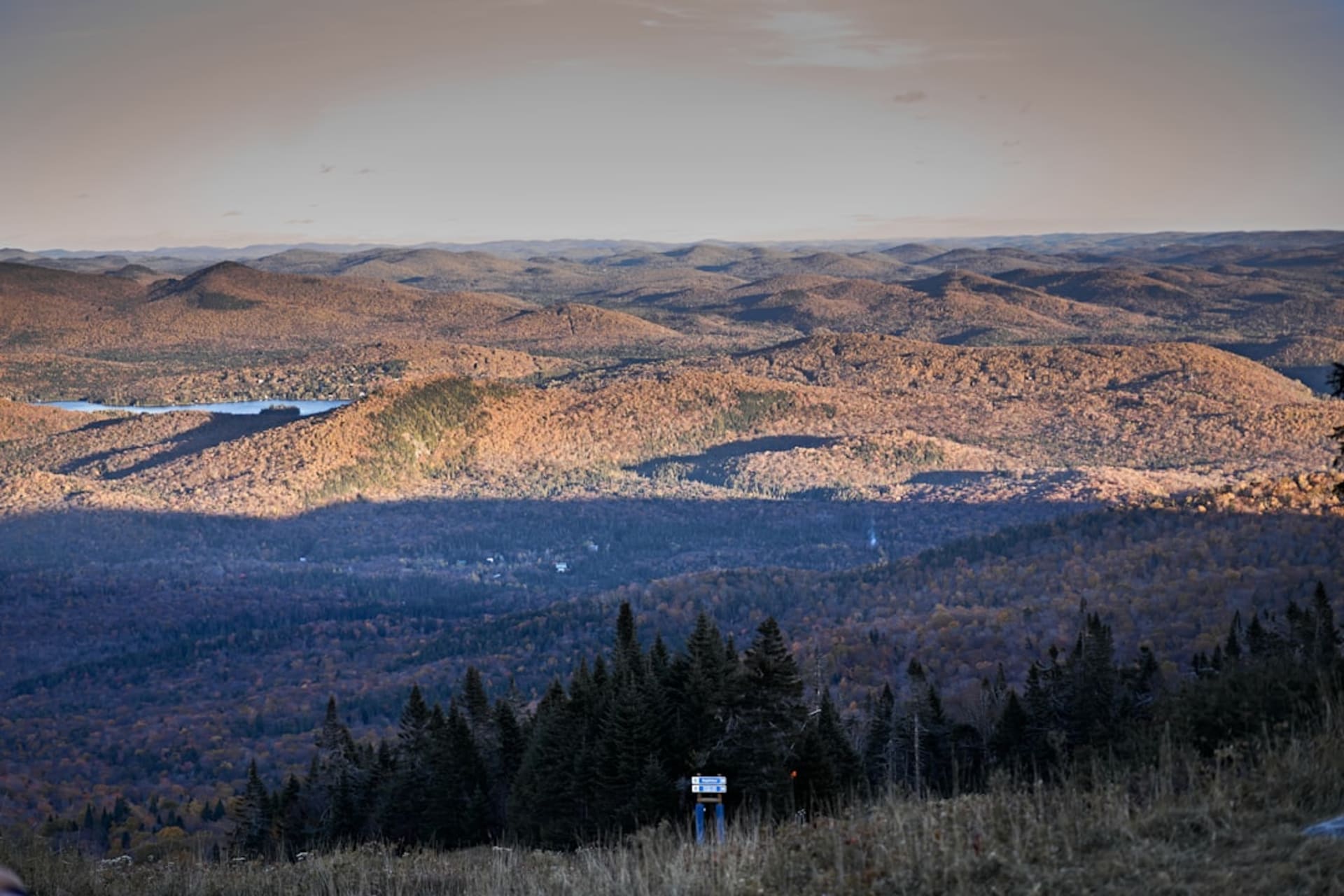 Wind turbines lining the ridge above Cap-Chat on the Gaspé coast with the St. Lawrence River visible below in late afternoon light
