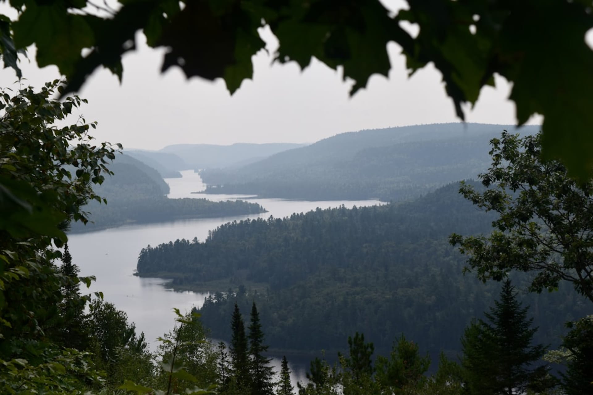 Sand dunes and pine forest along the shore of the Lake of Two Mountains in Parc national d'Oka at sunset