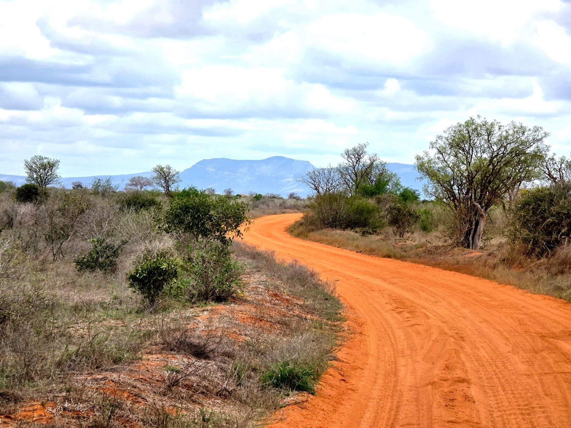 A red dirt track cutting through Cape York Peninsula savanna toward the horizon, termite mounds flanking the road, vast open sky