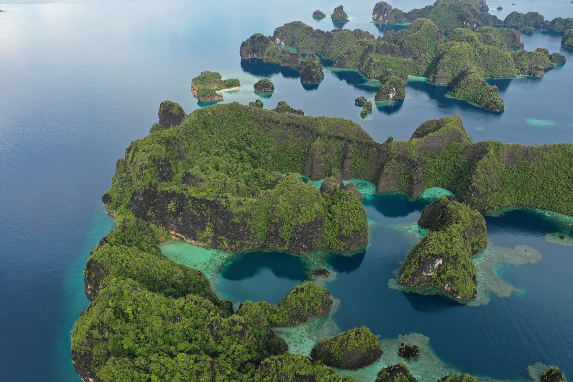 Primary rainforest covering the steep interior hills of Batanta Island with mist in the canopy and tropical vegetation, Raja Ampat