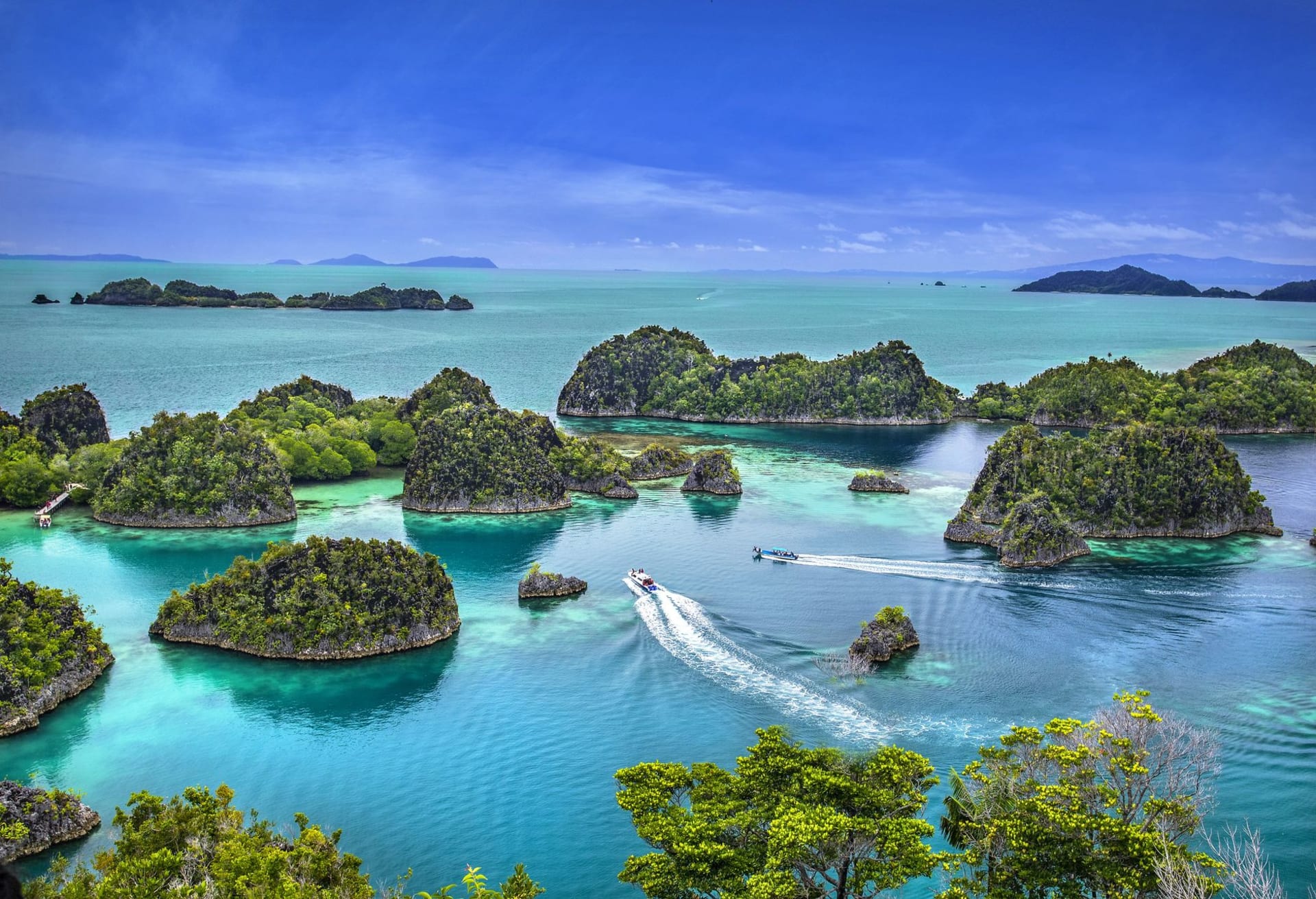 Buceador derivando a lo largo de una pared de arrecife rebosante de peces en Cabo Kri, Raja Ampat, con cardúmenes de pargos y anthias llenando el agua