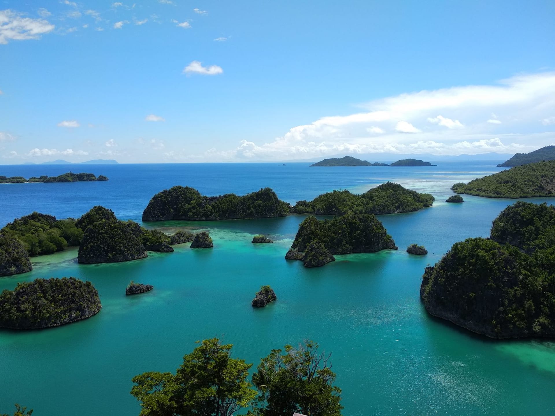 Bateaux de pêche colorés amarrés dans le port de Waisai au crépuscule avec les collines boisées de l'île Waigeo en arrière-plan, Raja Ampat