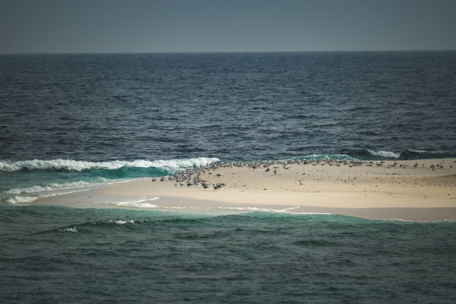Un banco de arena blanca inmaculada en la isla Giftun bordeado de bajíos turquesa y barcos de excursión anclados