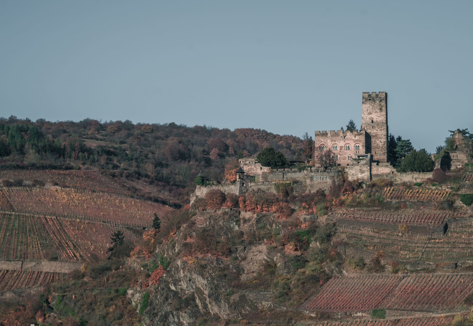 Historic Burg Gutenfels castle atop a hill overlooking autumn vineyards in the Rhine Valley