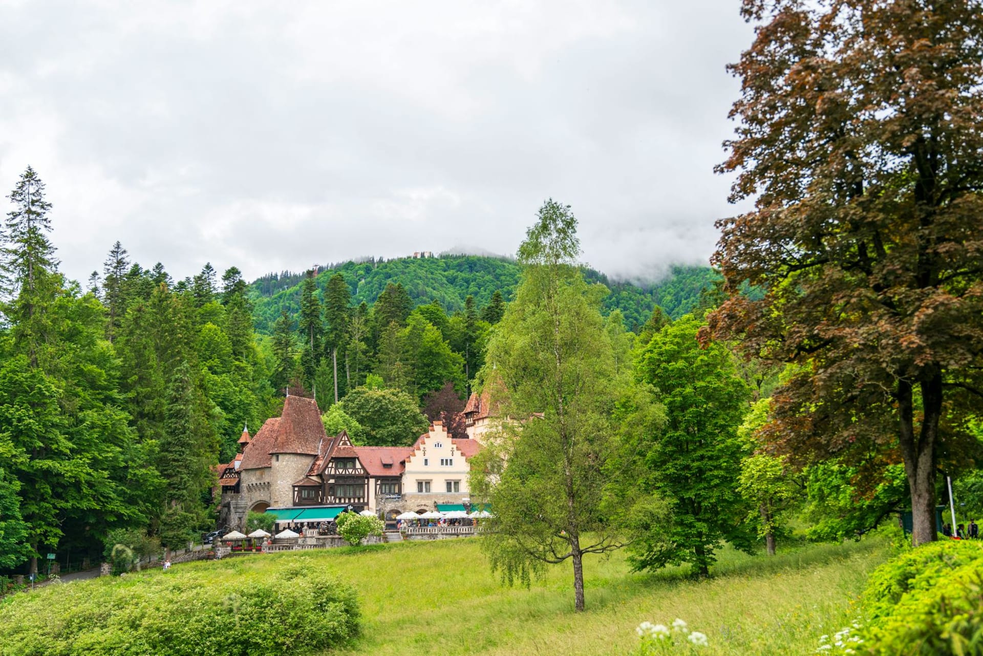 Peles Castle rising through the Carpathian forest in Sinaia, Romania — its turrets and gabled rooflines half-swallowed by dark pine trees against a pale mountain sky.