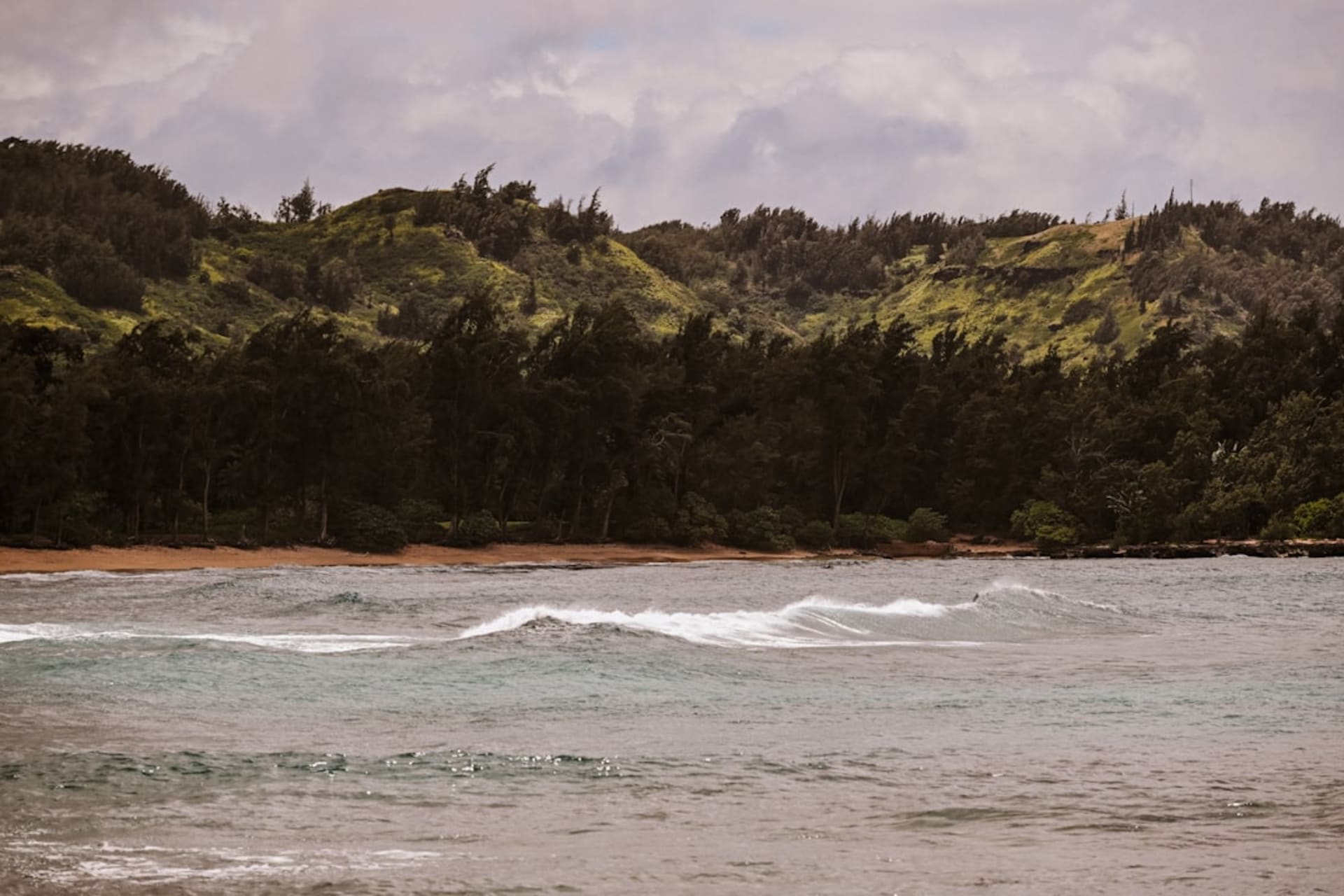 La playa aislada de arena negra de Anse Cochon respaldada por bosque seco en la costa oeste de Santa Lucía