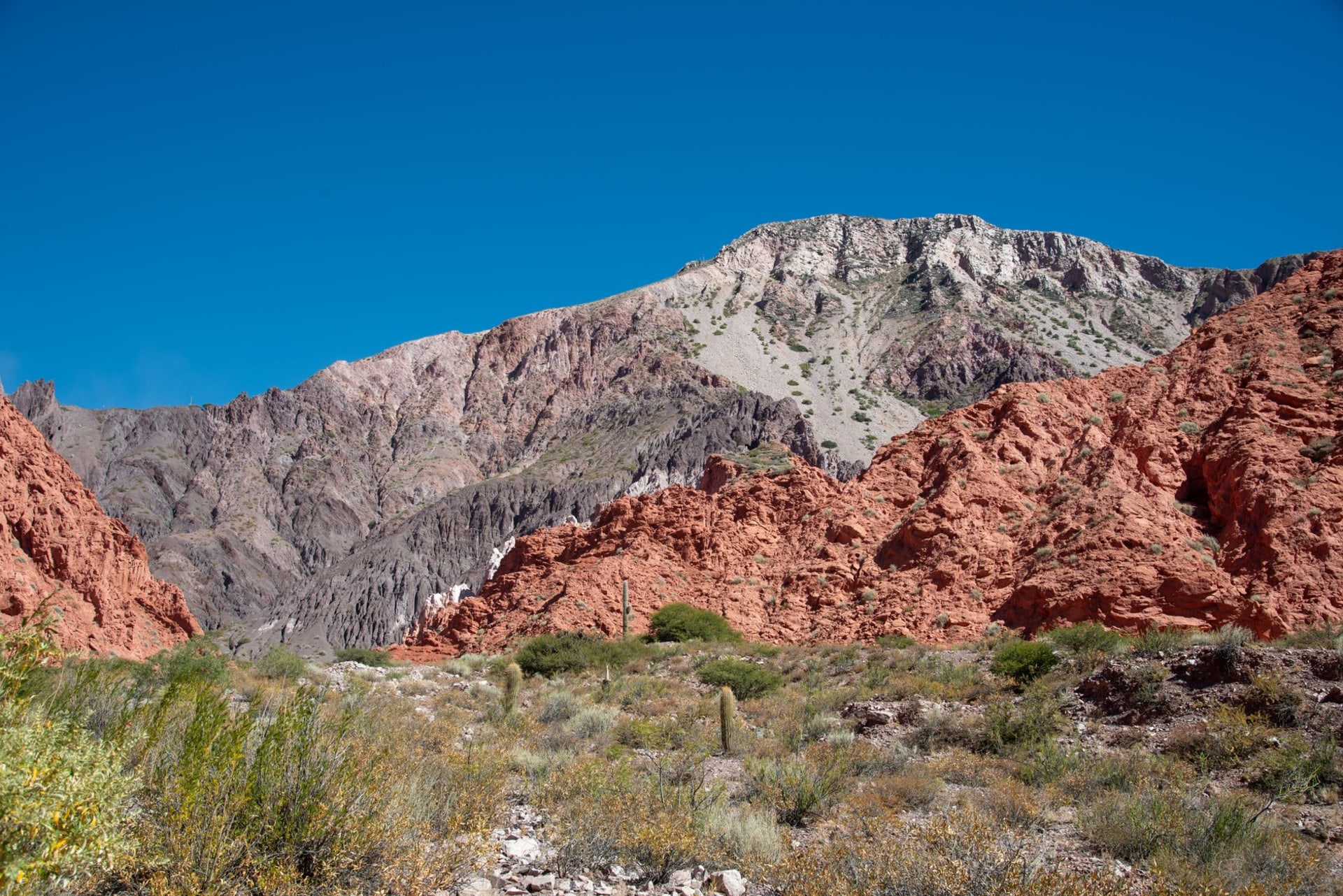 The smooth red sandstone walls of El Anfiteatro natural amphitheatre glowing in afternoon sun in the Quebrada de las Conchas