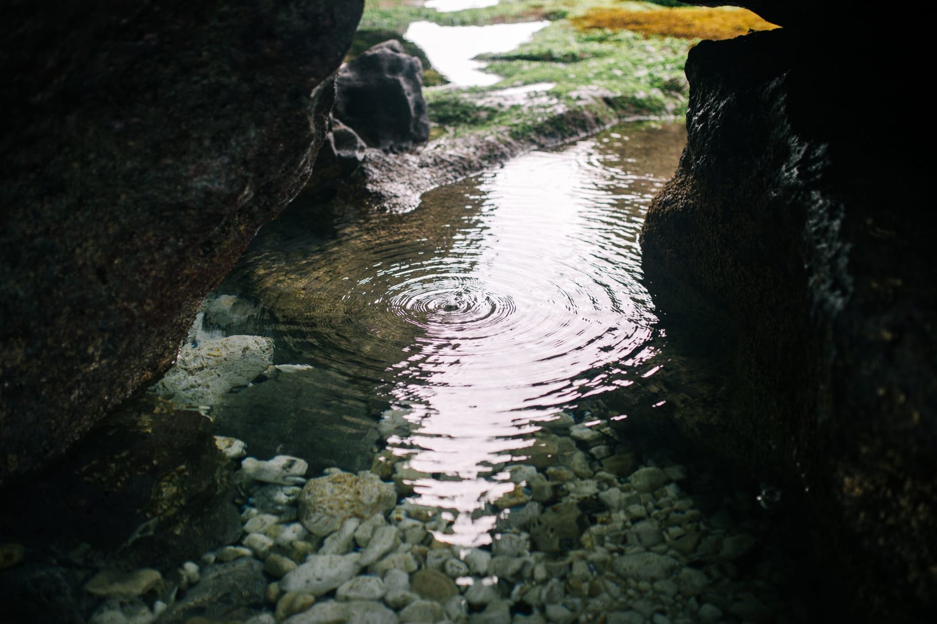 The interior of Piula Cave Pool, clear blue freshwater in a dark volcanic cave, light filtering through the entrance