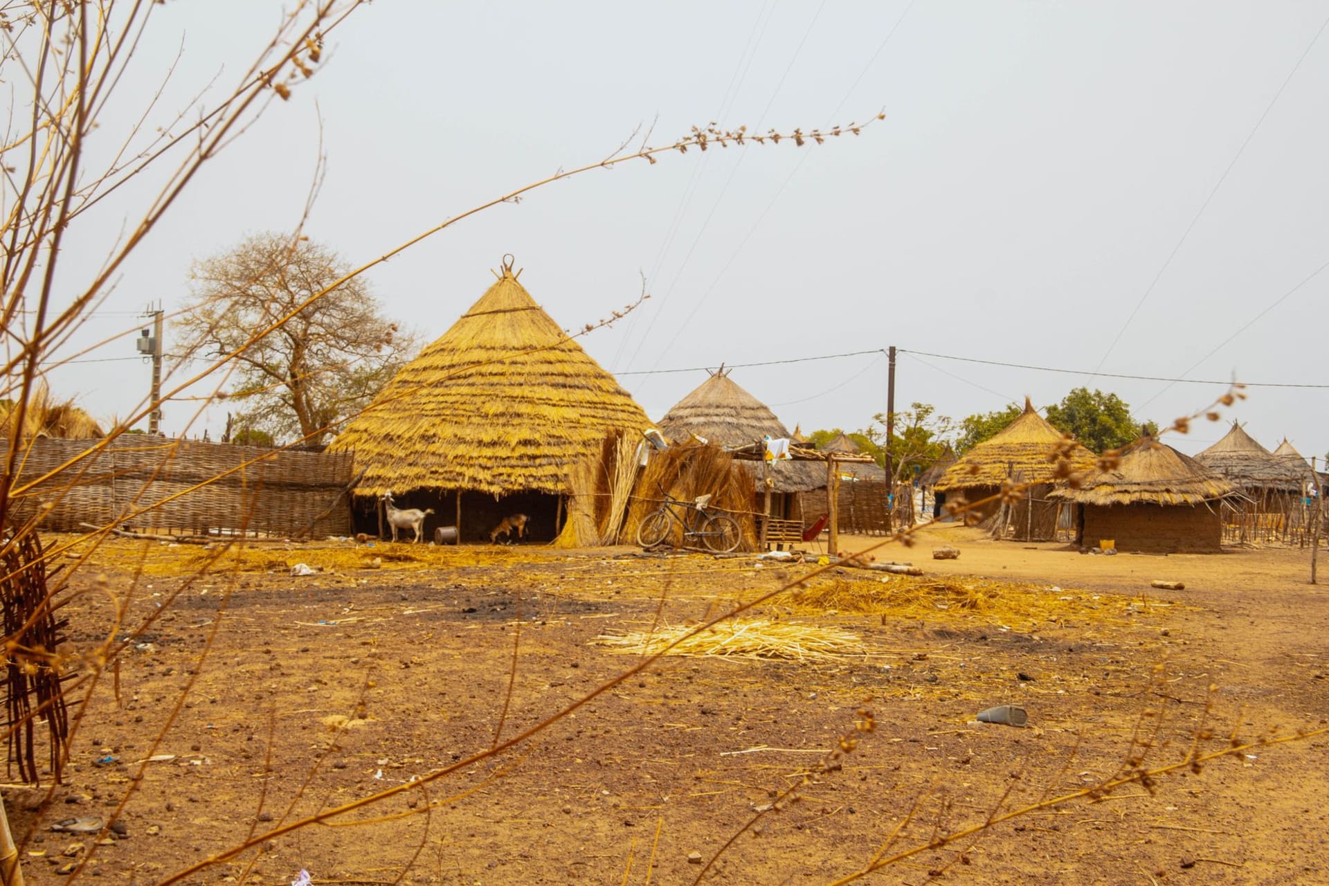 Painted wooden pirogues in vivid blue and yellow pulled up on a white sand beach at Mbour, fishing nets spread to dry under a flat West African sky