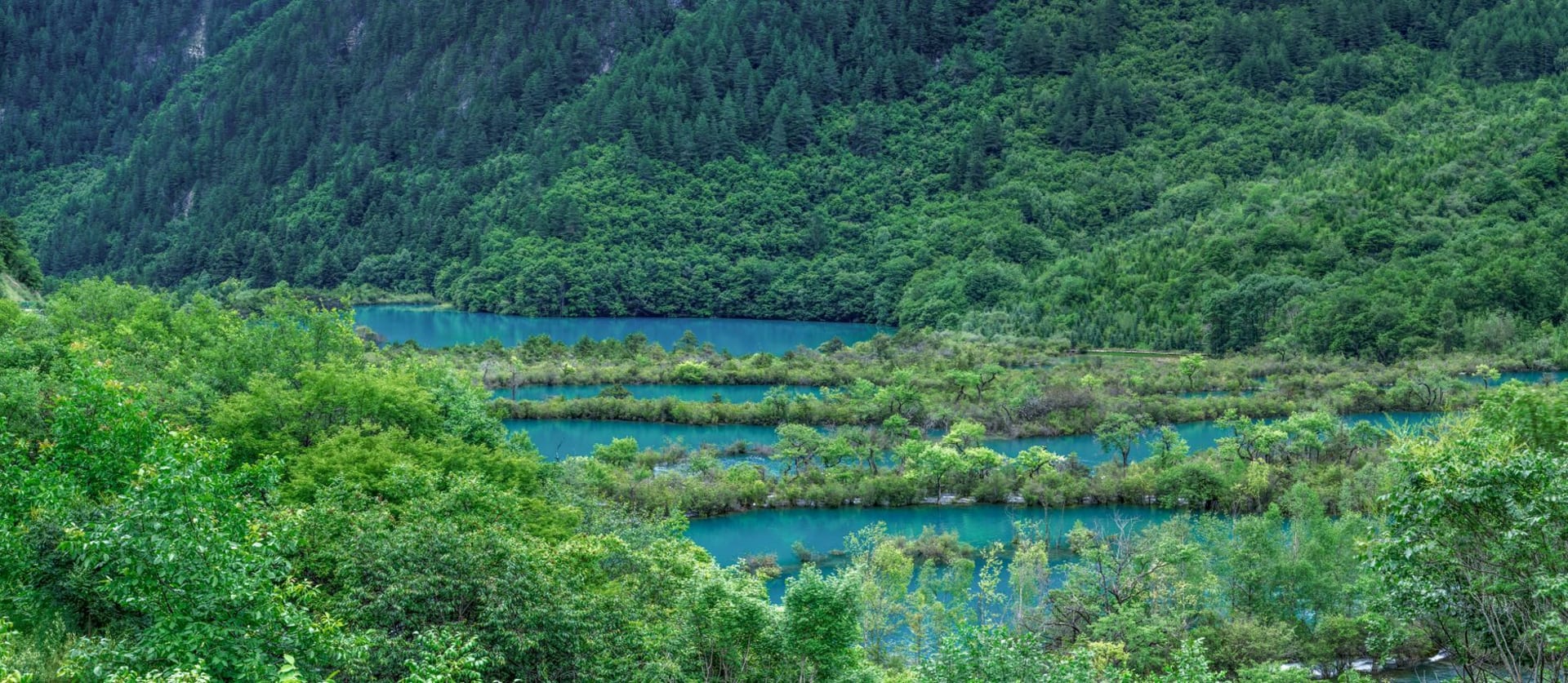 Turquoise and emerald lakes surrounded by lush forested mountains in Jiuzhaigou Valley, Sichuan