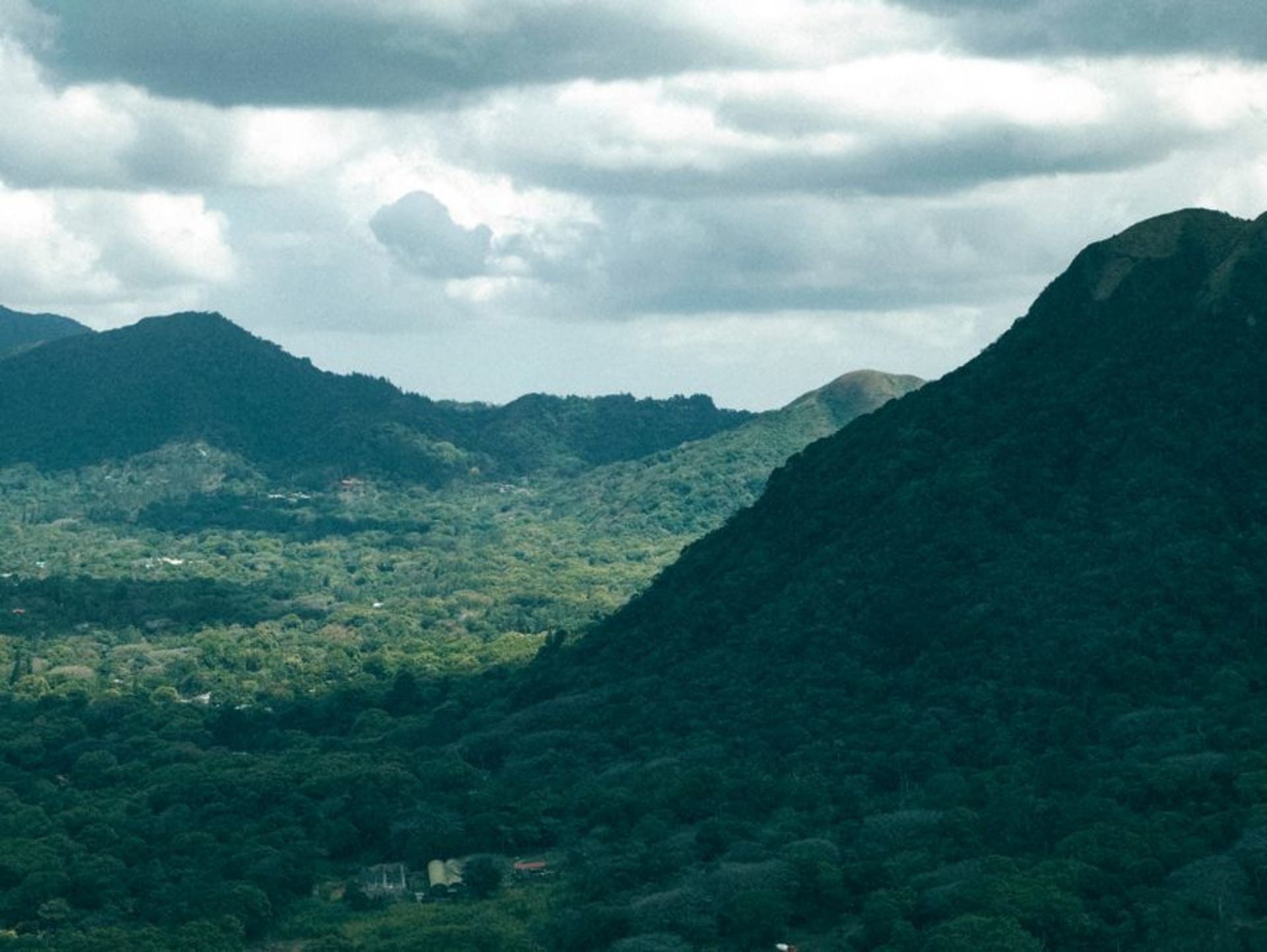 The forested slopes of the Loma Mountains rising toward Mount Bintumani under a pale dry-season sky