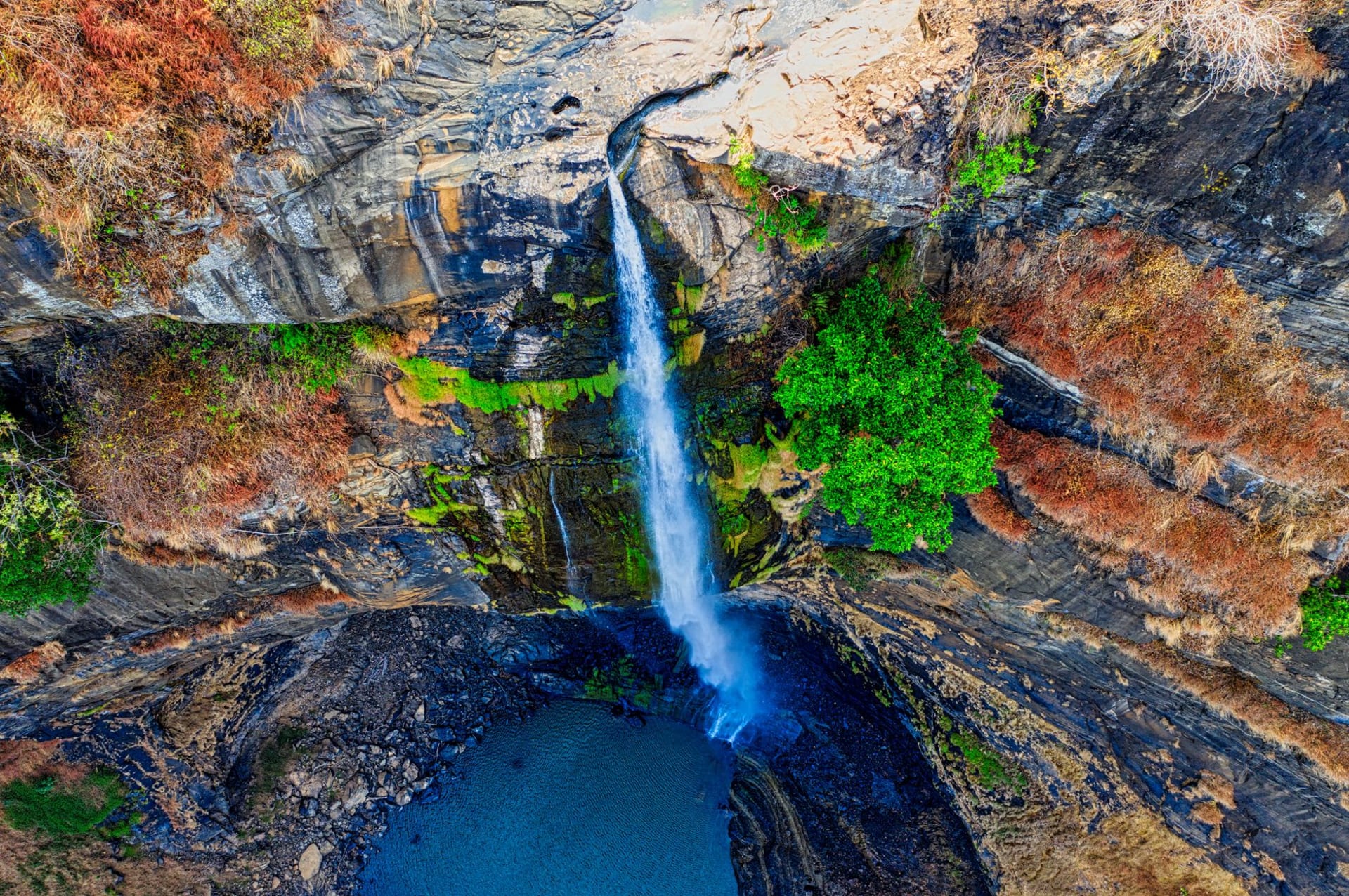 Una estrecha cascada blanca cayendo cientos de metros por una pared vertical de basalto oscuro, enmarcada por arbustos de la meseta en el borde superior