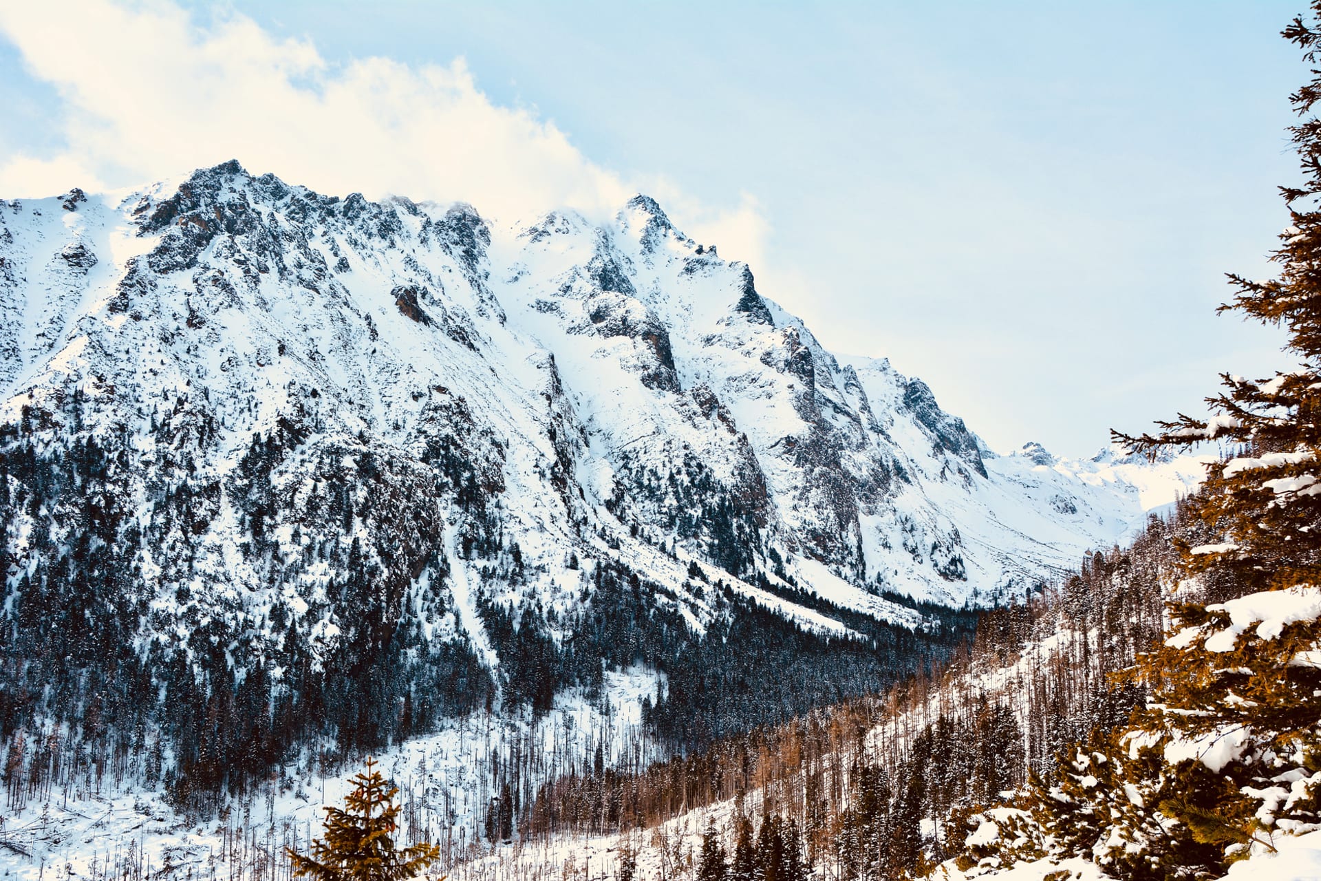 Los dentados picos de granito de los Altos Tatras reflejados a la perfección en la superficie quieta del lago Štrbské Pleso al amanecer