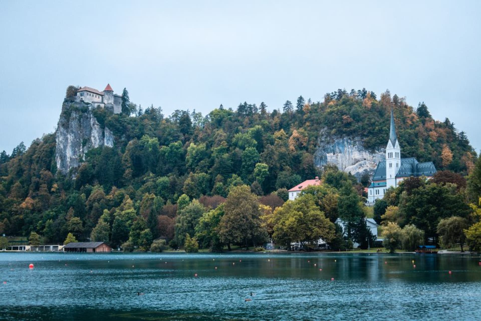 Novo Mesto's old town wrapped around a horseshoe bend of the Krka River, cathedral spire visible above the rooftops