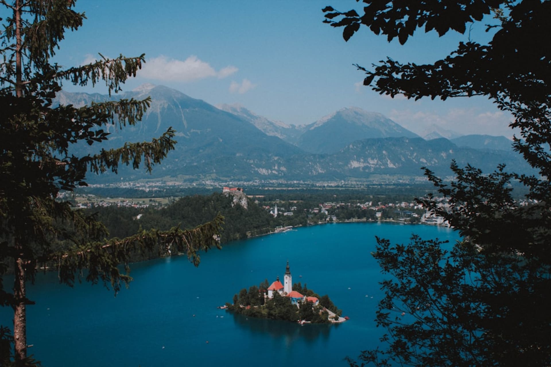 The view from Ojstrica viewpoint looking down over Lake Bled with the island church and castle framed between forested slopes