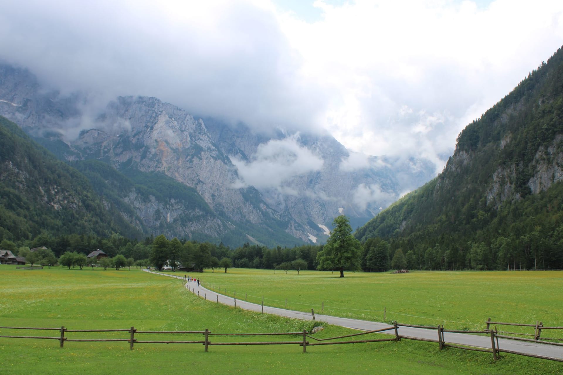The Rinka waterfall dropping 90 meters from a limestone cliff at the head of Logarska Dolina, surrounded by beech forest and alpine peaks