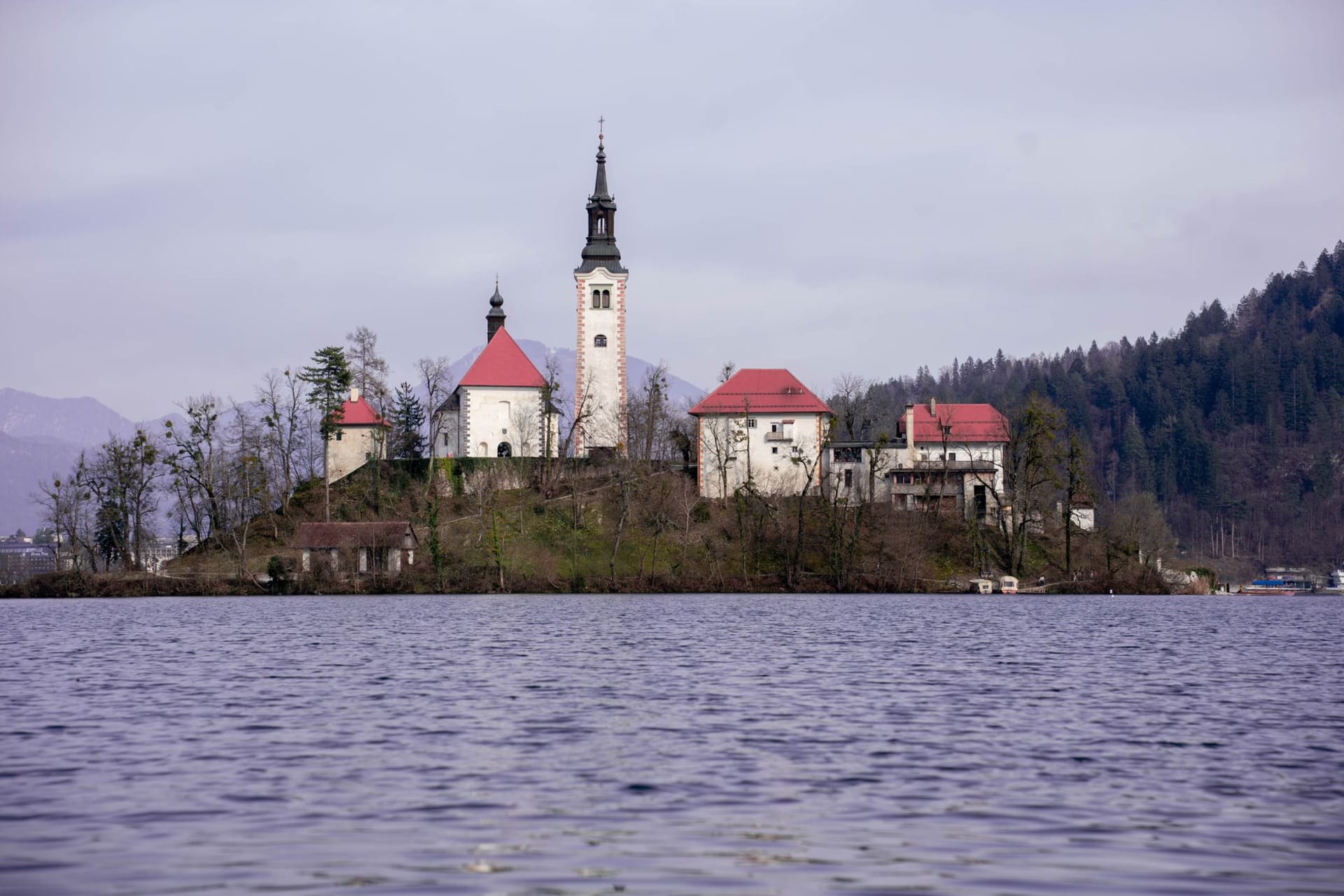 L'île de Bled avec son église blanche et son clocher se dressant sur les eaux calmes du lac Bled, entourée de montagnes boisées et des Alpes Juliennes
