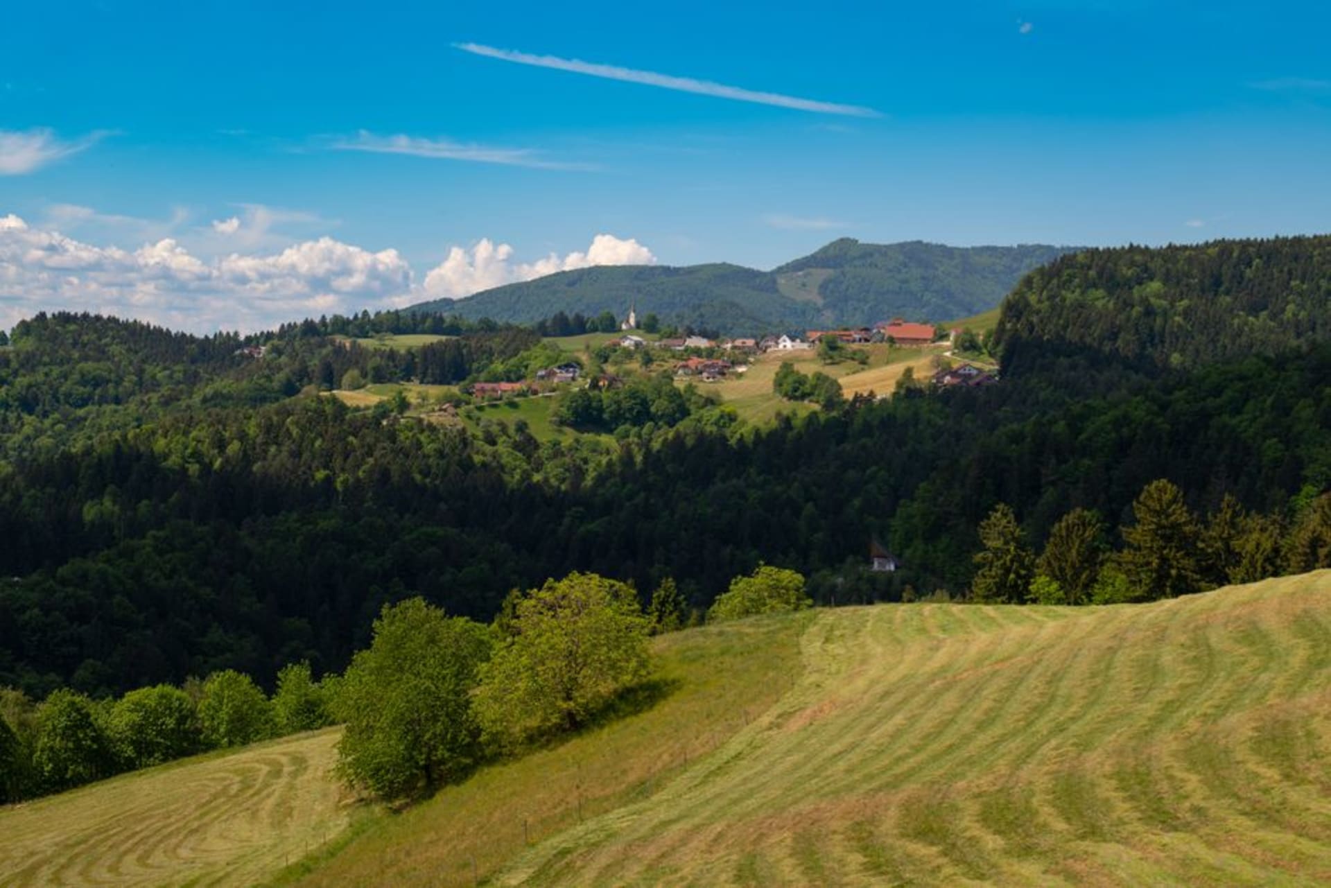 La ville perchée de Slovenske Konjice avec son château et ses clochers s'élevant au-dessus des pentes viticoles à la lisière des contreforts du Pohorje