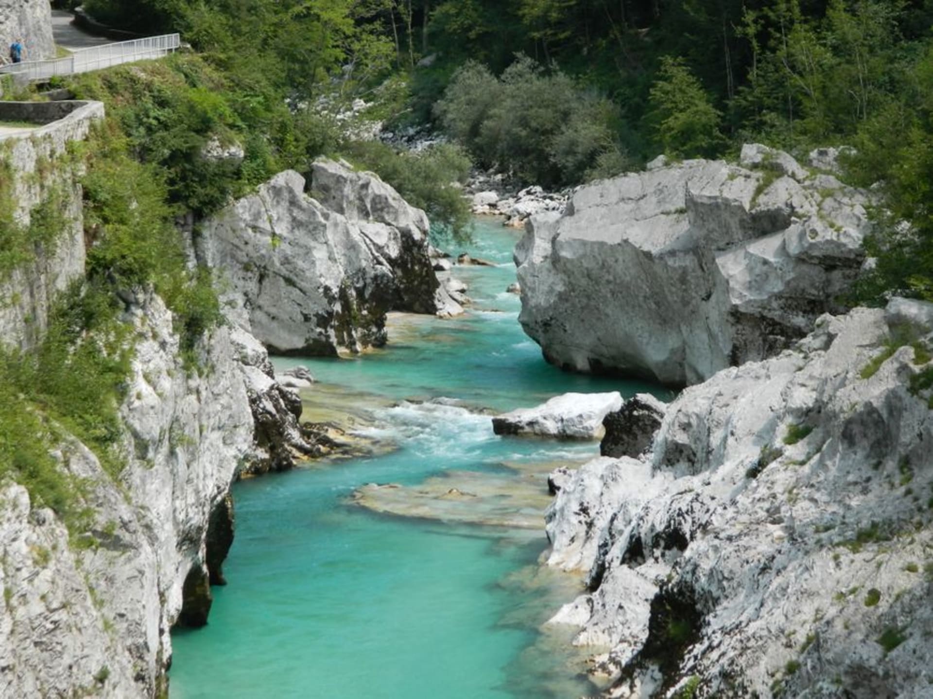 The deep limestone Tolmin Gorge with two rivers meeting in a turquoise confluence pool surrounded by steep forested walls