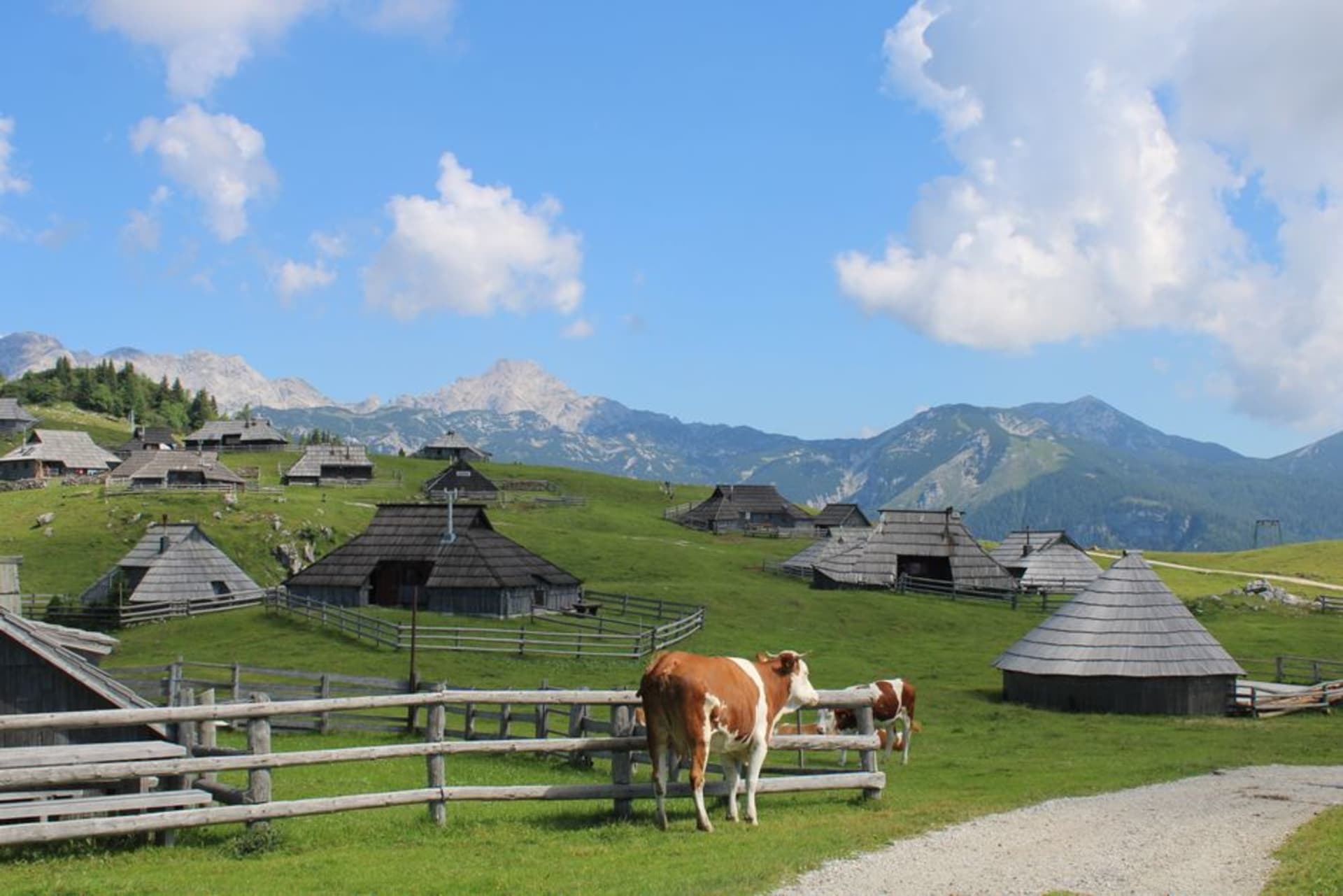 Cabañas de pastores redondas de techo empinado dispersas por los verdes pastos alpinos de Velika Planina, con los picos calcáreos de los Alpes de Kamnik-Savinja al fondo