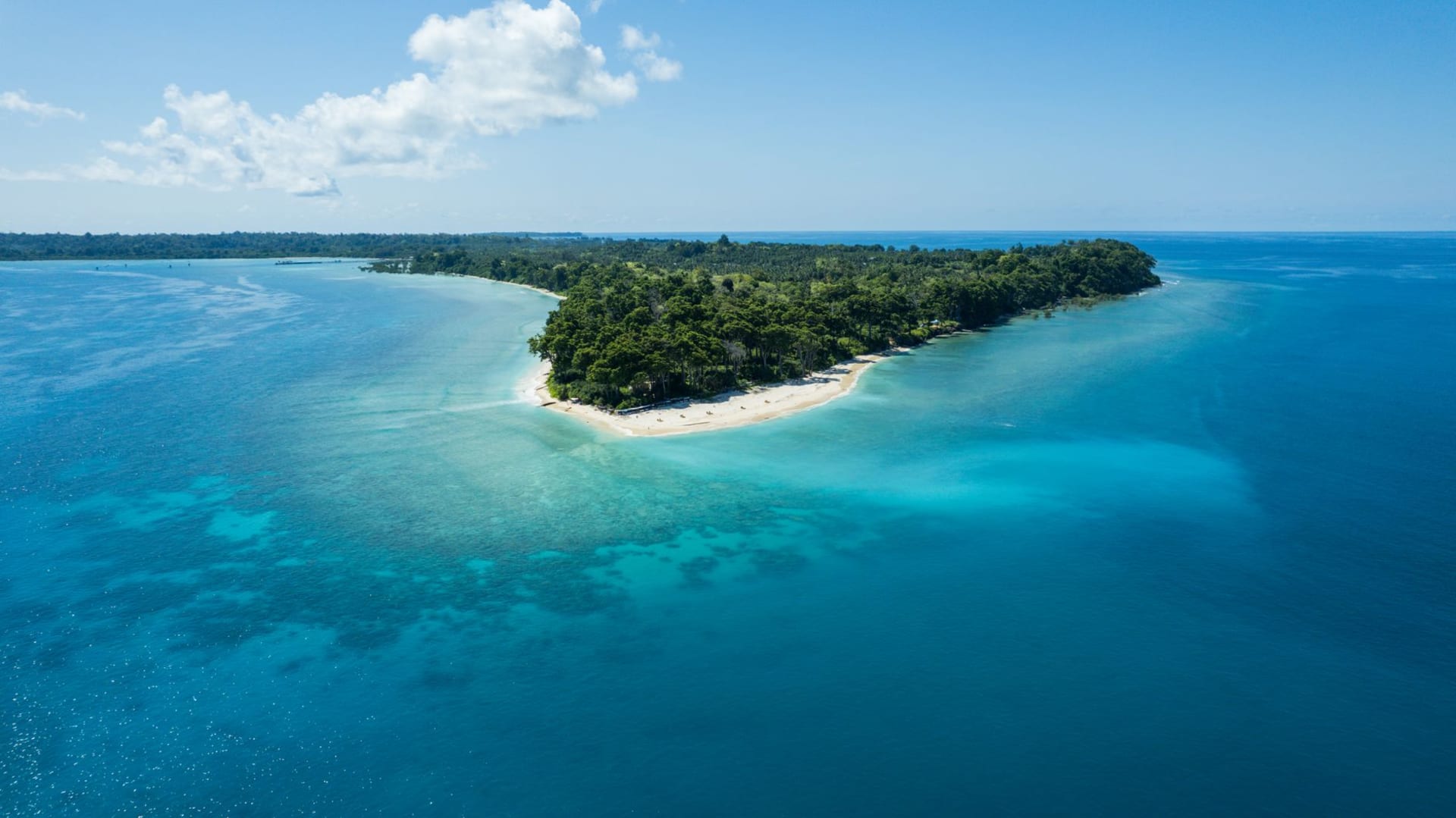 The coastal road on Makira Island, a narrow red dirt track through dense palm and jungle with the Pacific Ocean visible through gaps in the trees