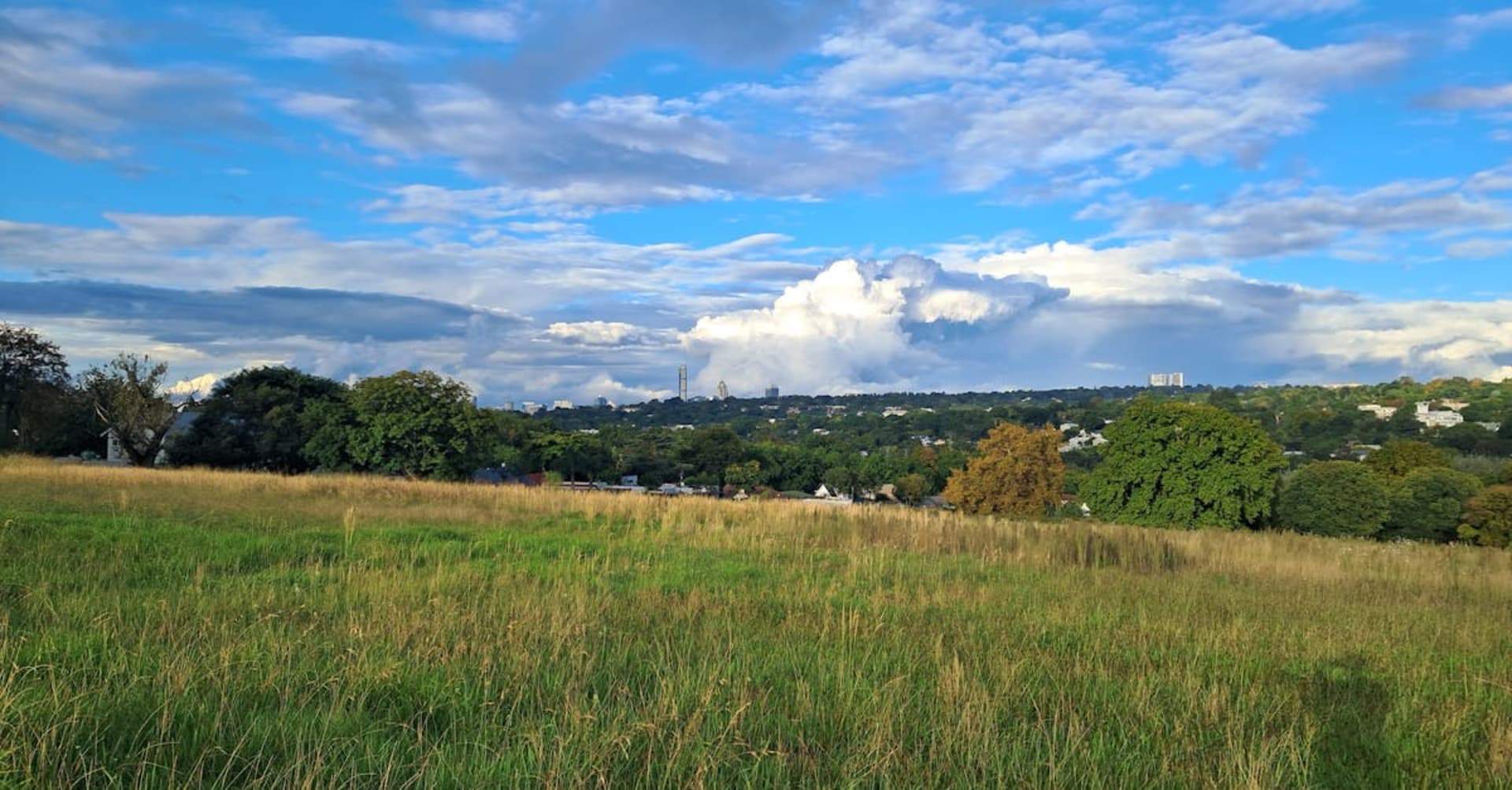The Johannesburg skyline at sunset with the distinctive Hillbrow Tower