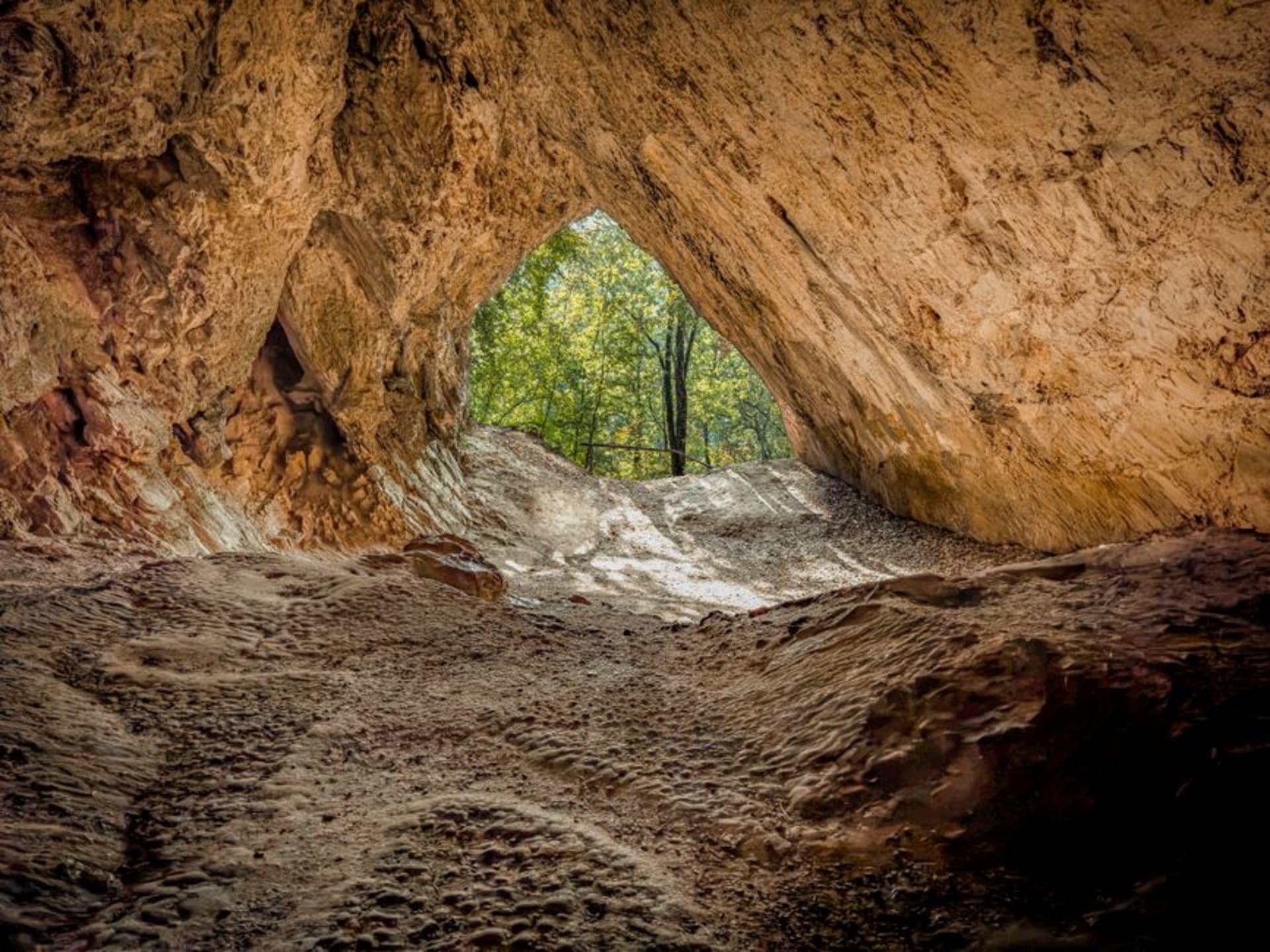 Limestone cave chamber with fossil deposits illuminated at Naracoorte Caves National Park