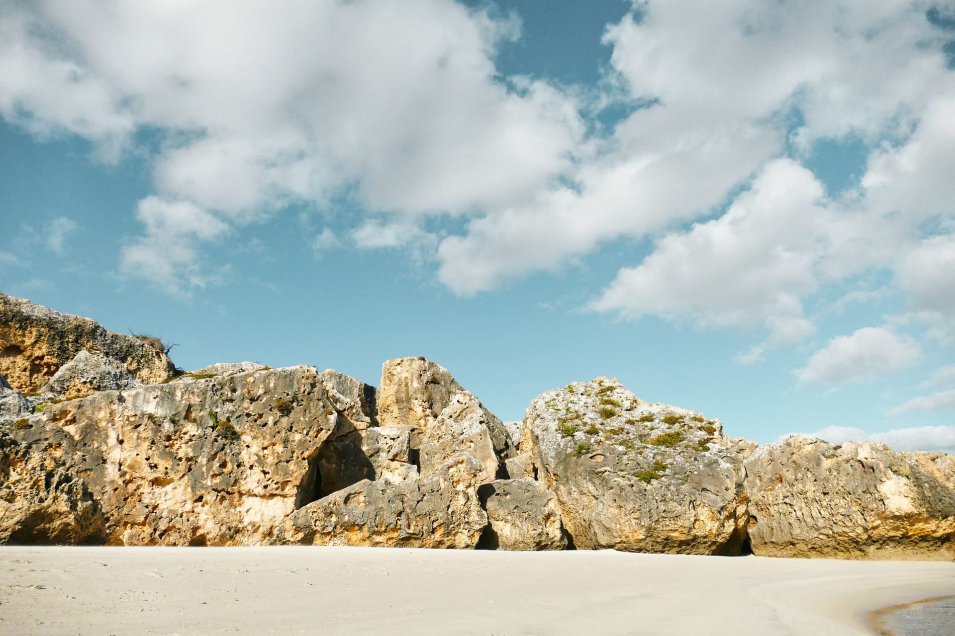 Australian sea lions resting on white sand at Seal Bay, Kangaroo Island, turquoise Southern Ocean behind them