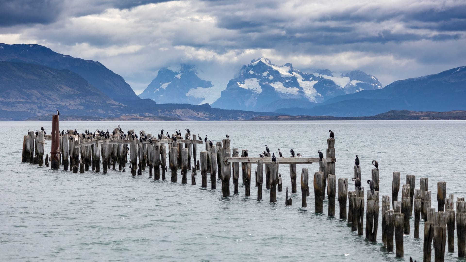 Cormorants perched on a weathered wooden pier in Puerto Natales, with jagged snow-dusted Patagonian peaks rising across the steel-grey water