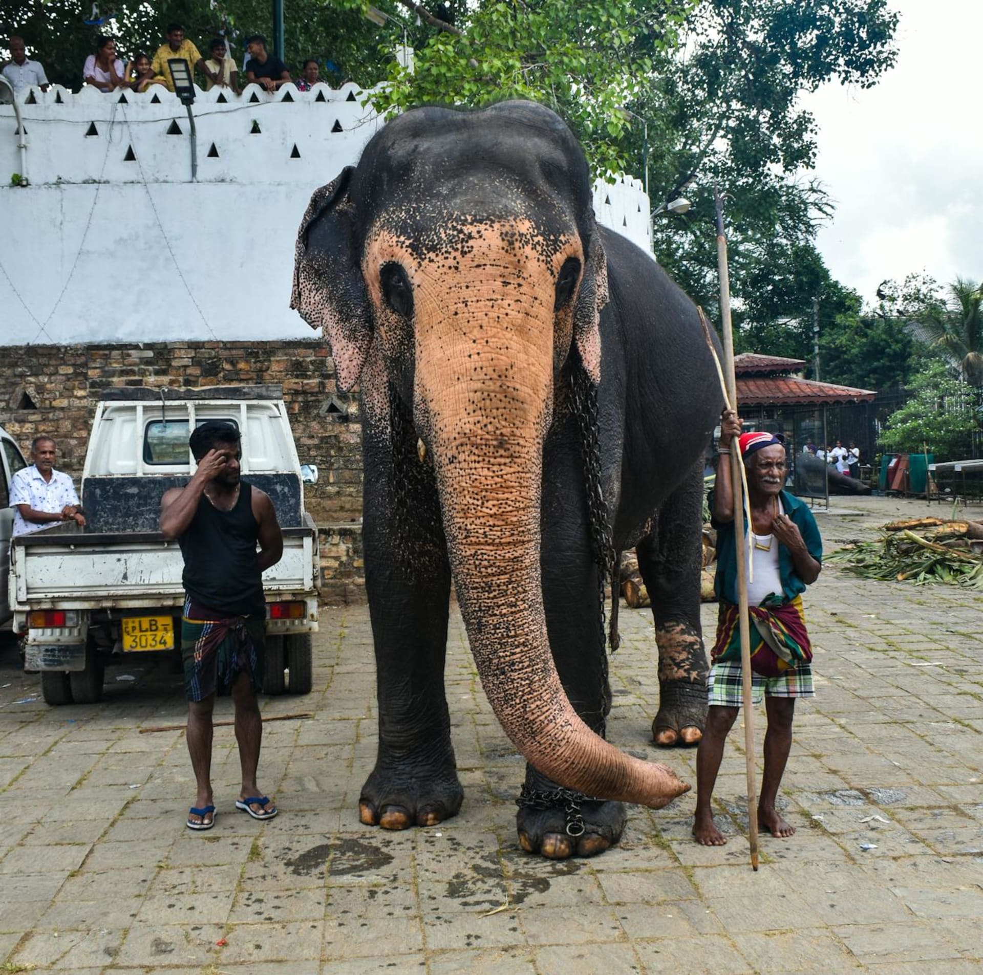 A caparisoned elephant adorned with golden robes and electric lights leads a torchlit procession through the crowded streets of Kandy at night, with fire dancers and drummers filling the air with colour and smoke.