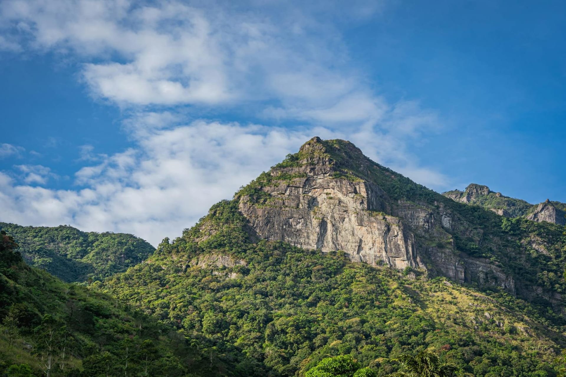 The massive granite face of Sigiriya Rock rising above dense jungle canopy, with ancient frescoes visible in the sheltered gallery and the lion's paw staircases cut into the lower cliff