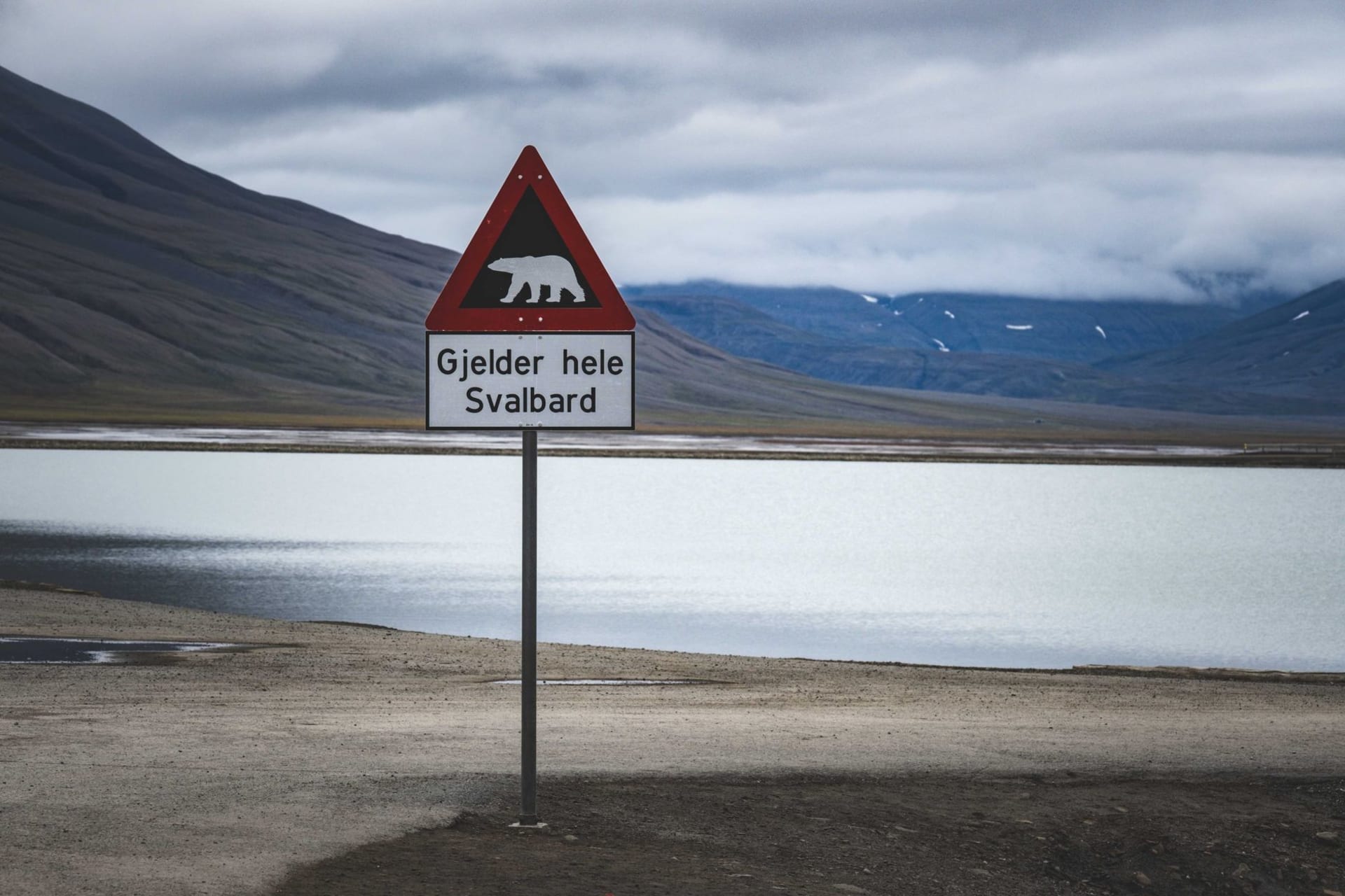 A polar bear warning sign planted in Svalbard's vast, treeless tundra under a pale Arctic sky — photo by Francesco Ungaro