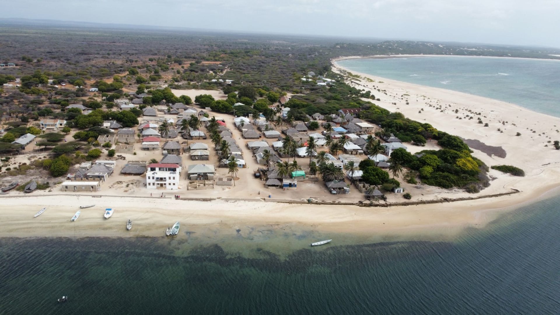 Tortuga marina verde descansando en la arena blanca de la playa de Watamu con el agua turquesa del océano Índico detrás