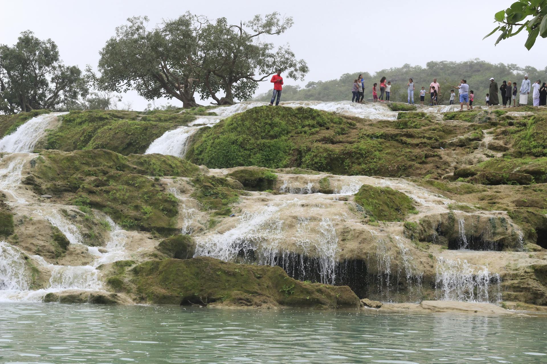 Row of traditional wooden windmills along the Oland coastline under a wide sky