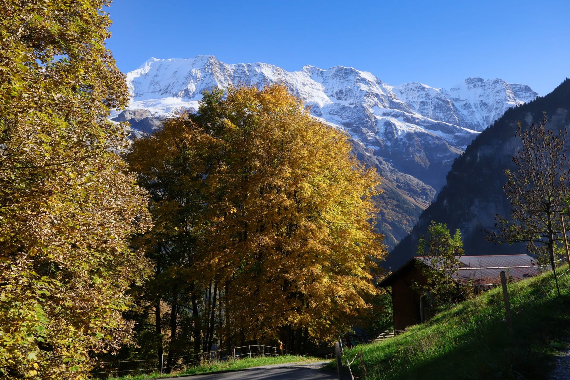 Mürren's wooden chalets and narrow lanes on a cliff-edge terrace above the Lauterbrunnen valley, the three-peak massif of Eiger, Mönch and Jungfrau directly across in late afternoon light
