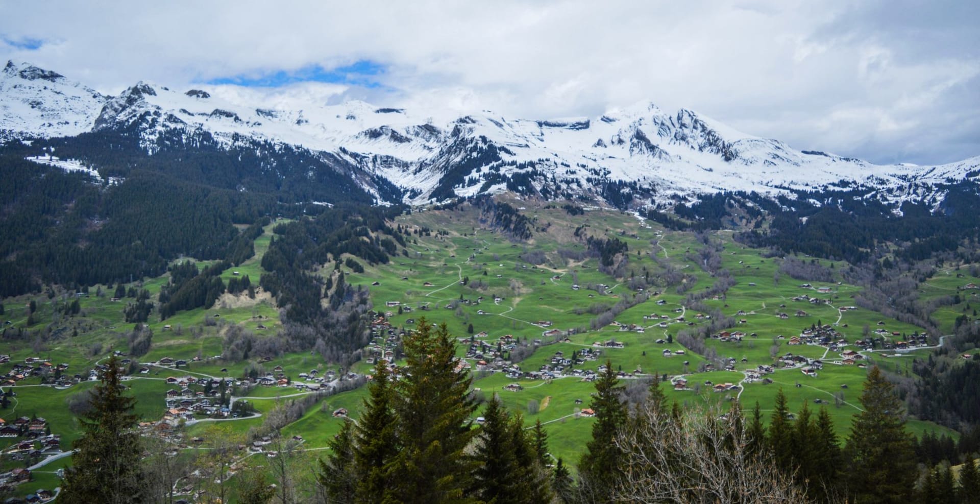 Chalets of car-free Wengen perched on a green terrace facing snow-capped peaks