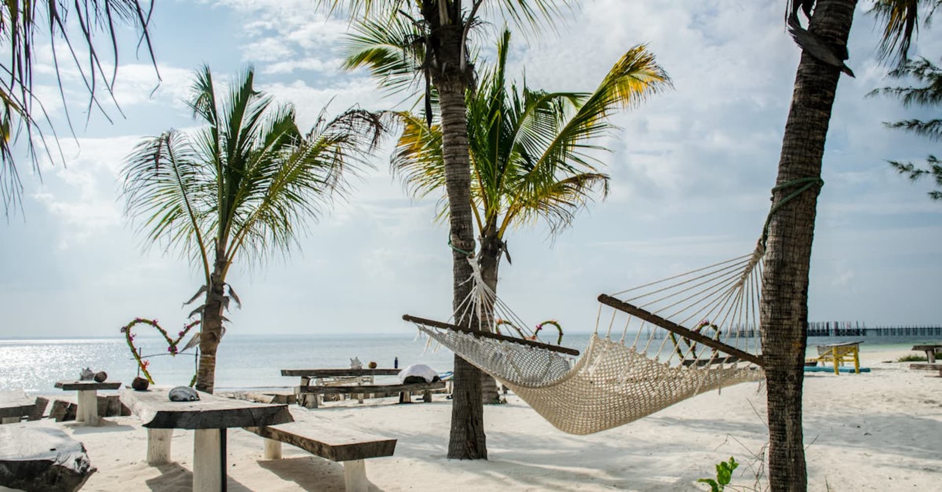 Whale shark swimming near the surface in the clear waters off Mafia Island