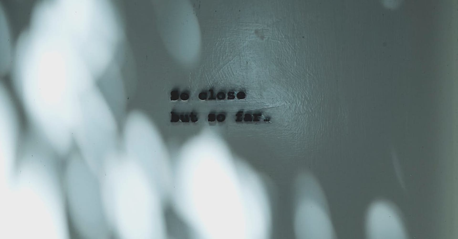 Hippos in the Rufiji River with palm-lined banks in the Selous Game Reserve