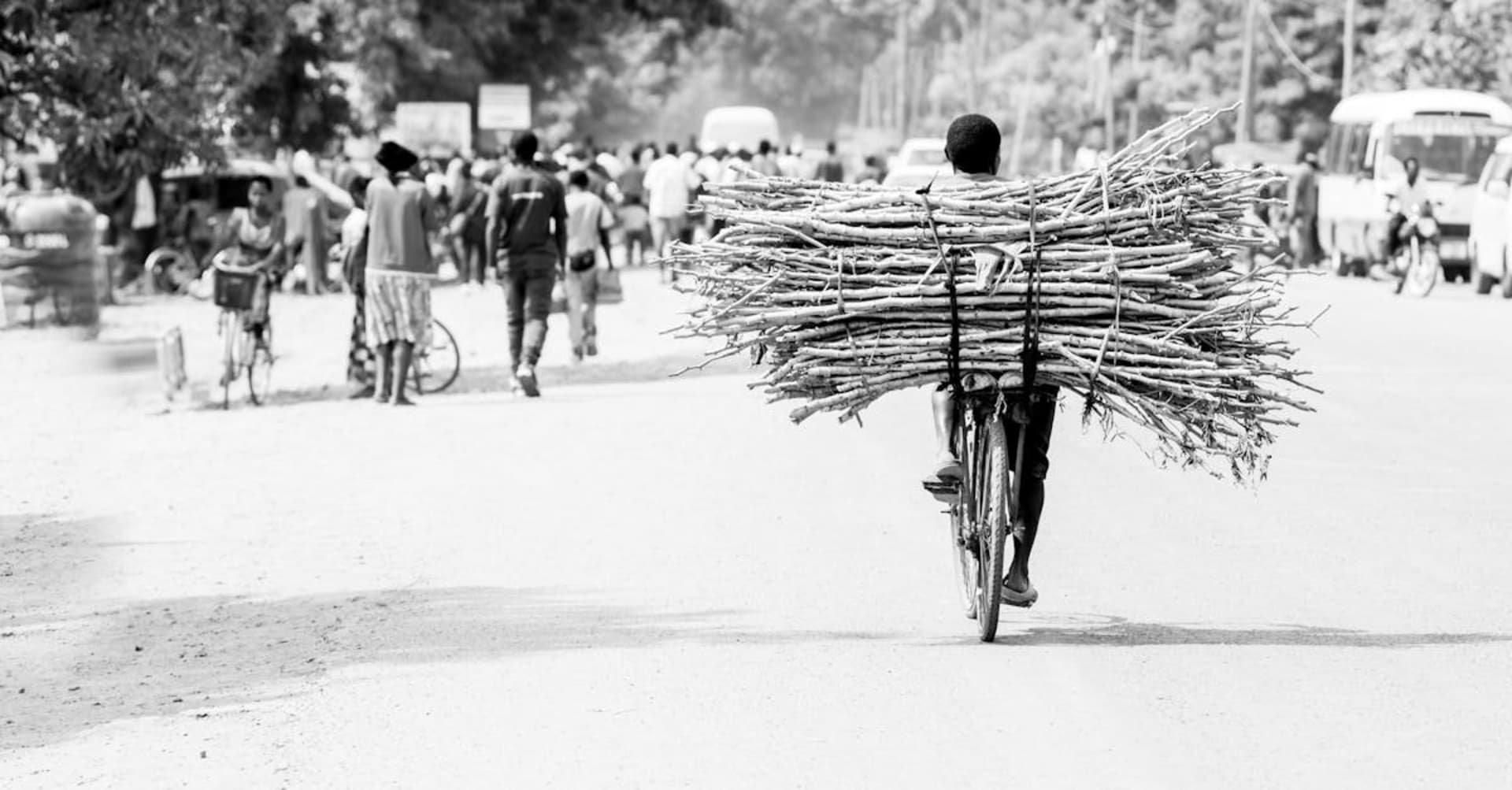 Elephants gathered around the Tarangire River beneath giant baobab trees