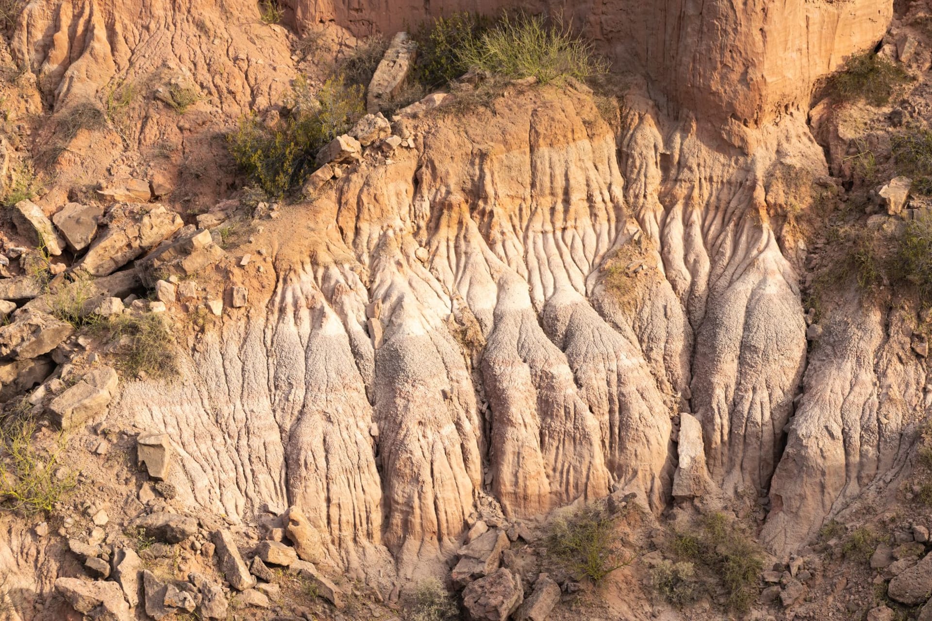 Layered red and orange canyon walls of Palo Duro Canyon in the Texas Panhandle with a lone rock spire and scrubby green vegetation on the canyon floor