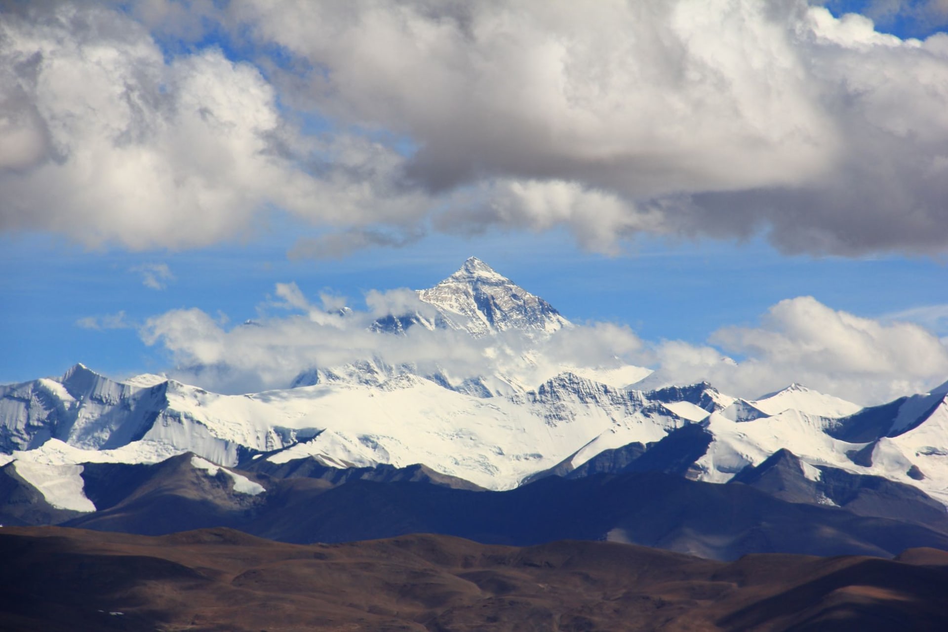 Mount Kailash's perfect snow-capped pyramid rising above the Barkha plain at sunrise, with prayer flags strung in the foreground