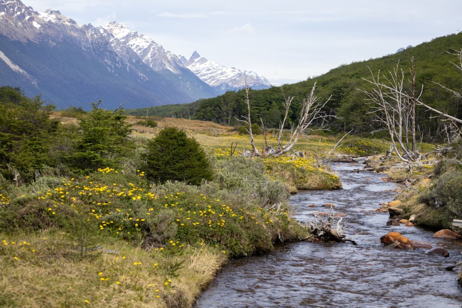 Small expedition boat moving through the Beagle Channel with snow-covered Andean peaks rising on both shores under dramatic cloud cover
