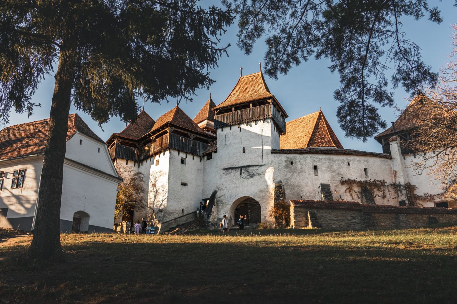 La citadelle de Rasnov perchée sur un éperon rocheux boisé au-dessus de la vallée transylvaine, murs de pierre grise et une unique tour intacte sur un ciel nuageux, la ville en contrebas