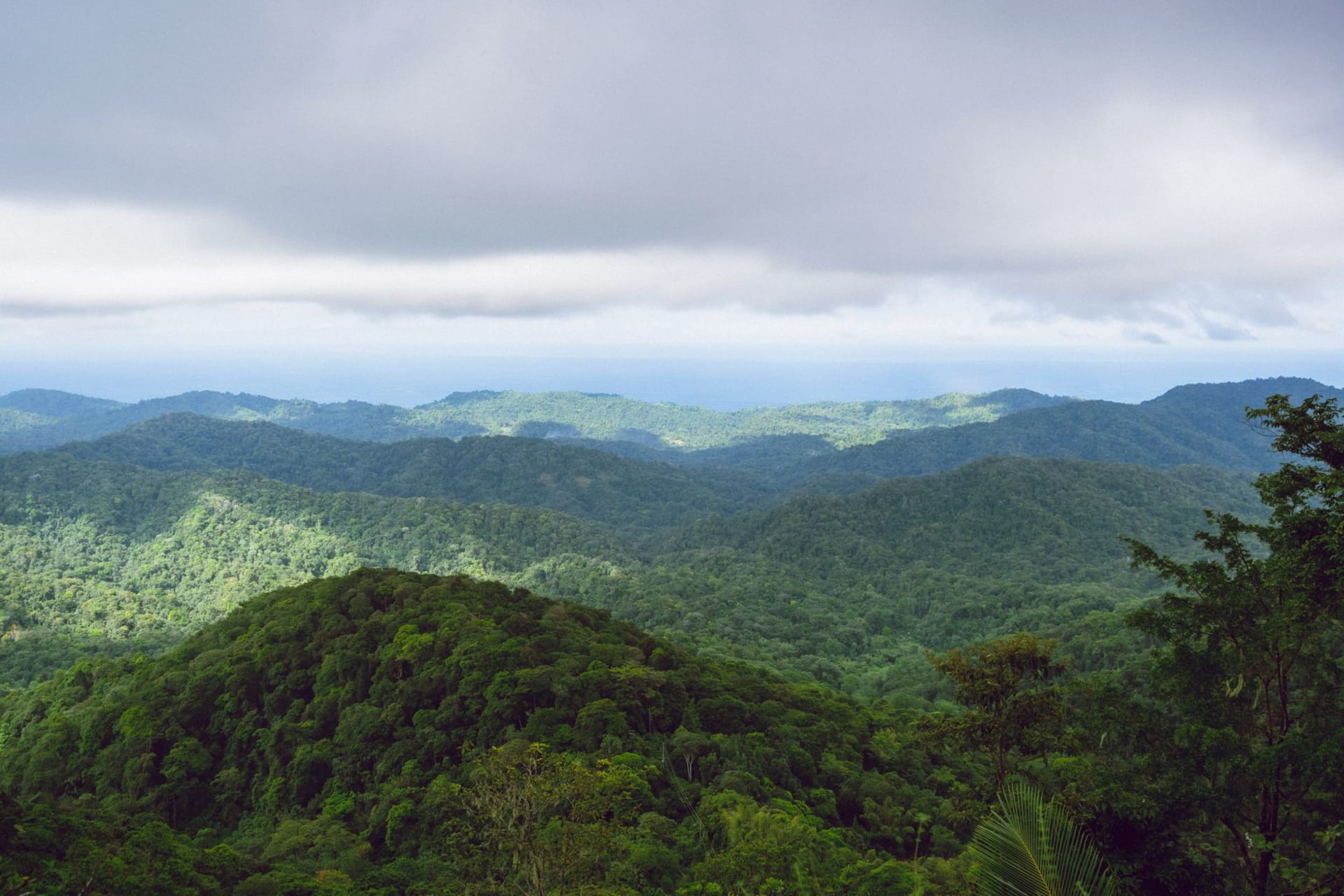 Golden-sand crescent of Maracas Bay curving beneath thickly forested green hills, azure Caribbean waves breaking in the foreground