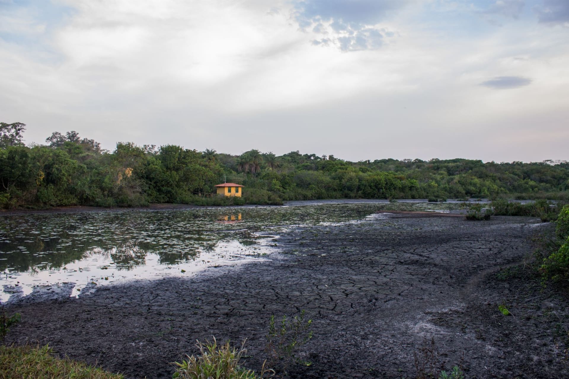 The dark, cracked surface of Pitch Lake at La Brea, Trinidad, with workers extracting asphalt and fresh sulfurous steam rising from active pools