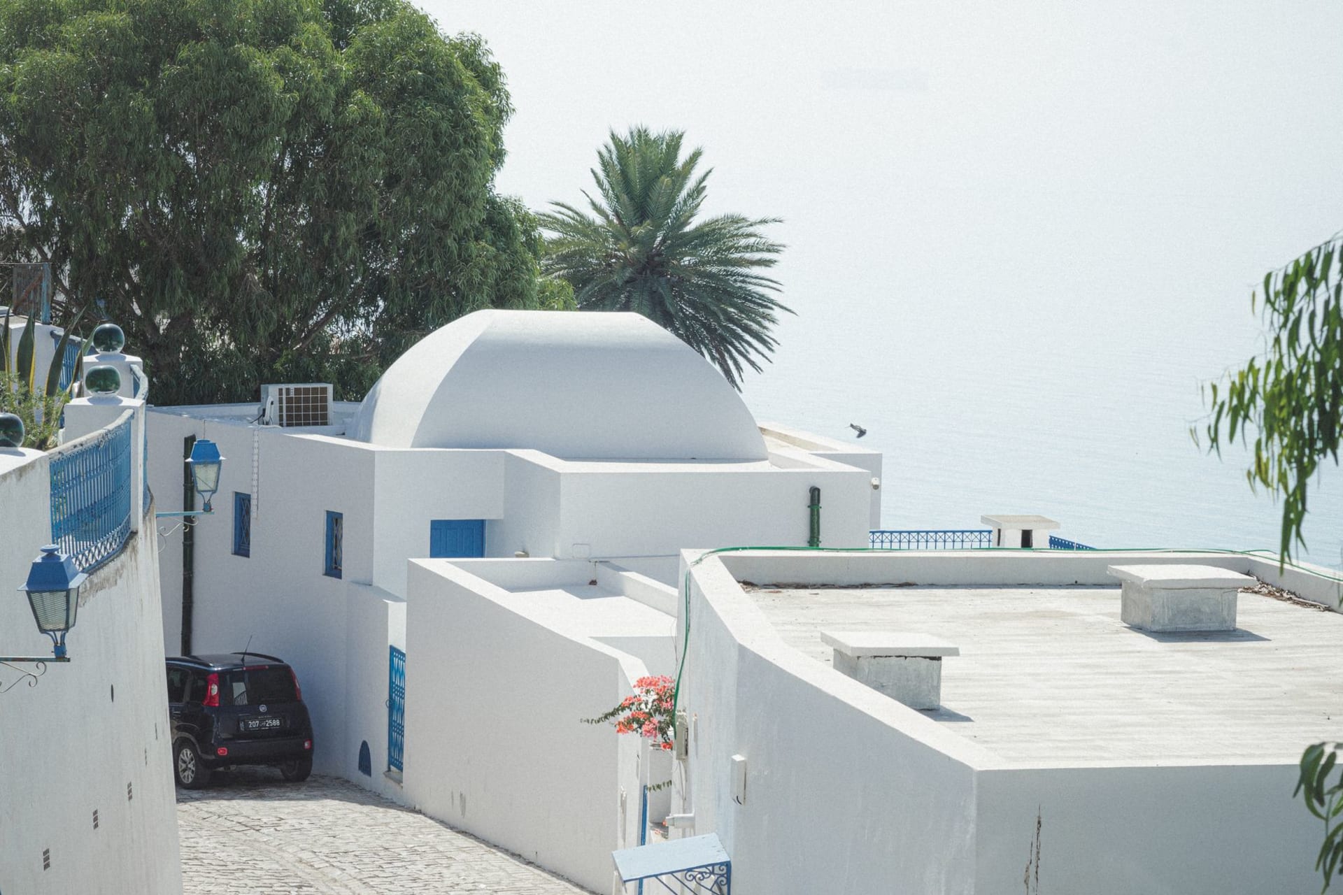 White stone architecture and lush greenery of Carthage overlooking the Mediterranean Sea