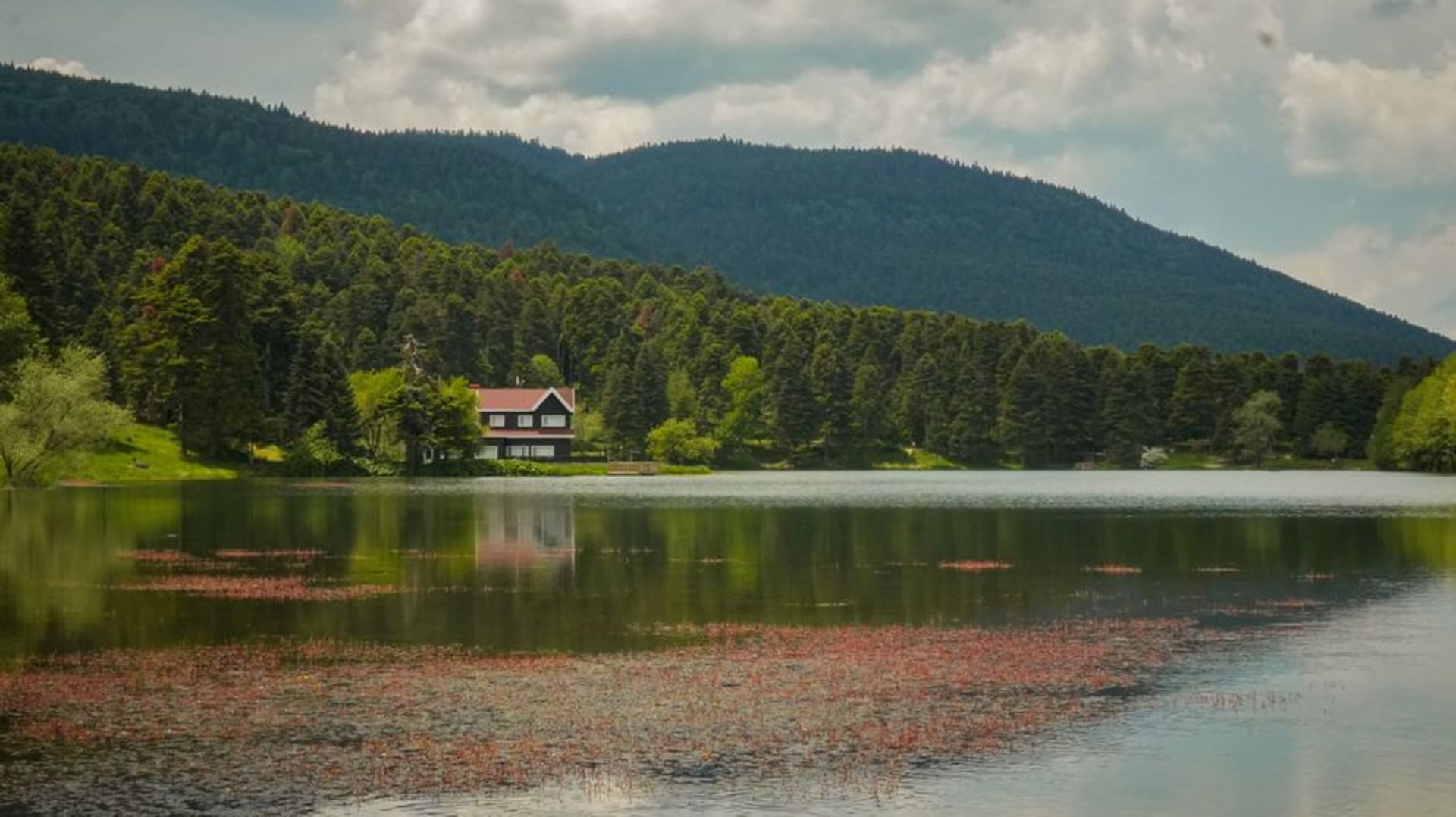 La surface immobile et miroitante du lac Abant entourée d'une forêt de pins dense