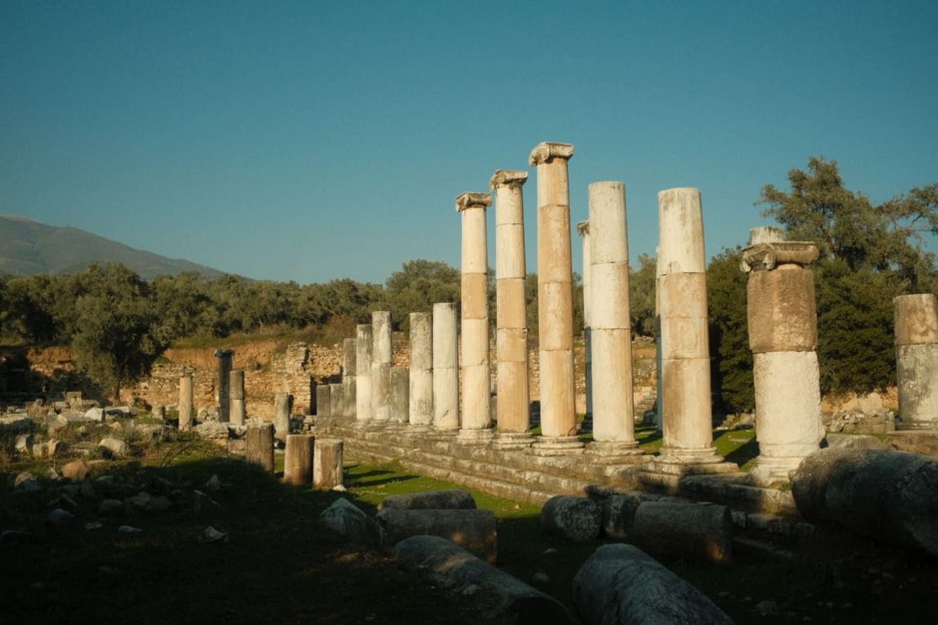 Les colonnes du temple d'Athéna à Priène se dressant contre une vue de colline sur la vallée du Méandre