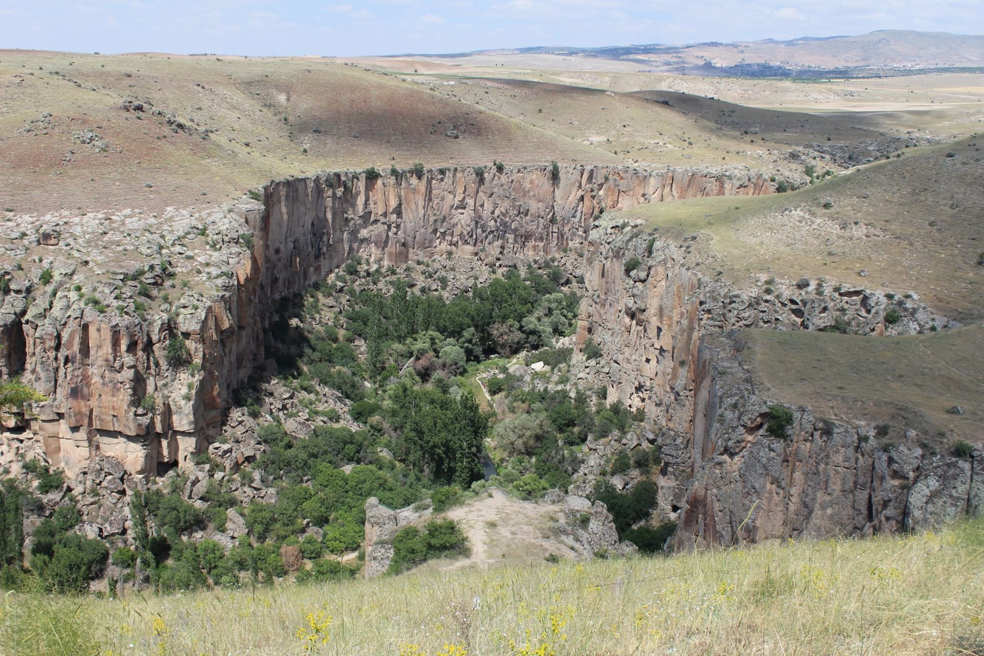A narrow canyon river winding through towering volcanic cliffs in Ihlara Valley, with poplar trees lining the banks and cave openings carved into the rust-colored rock face above
